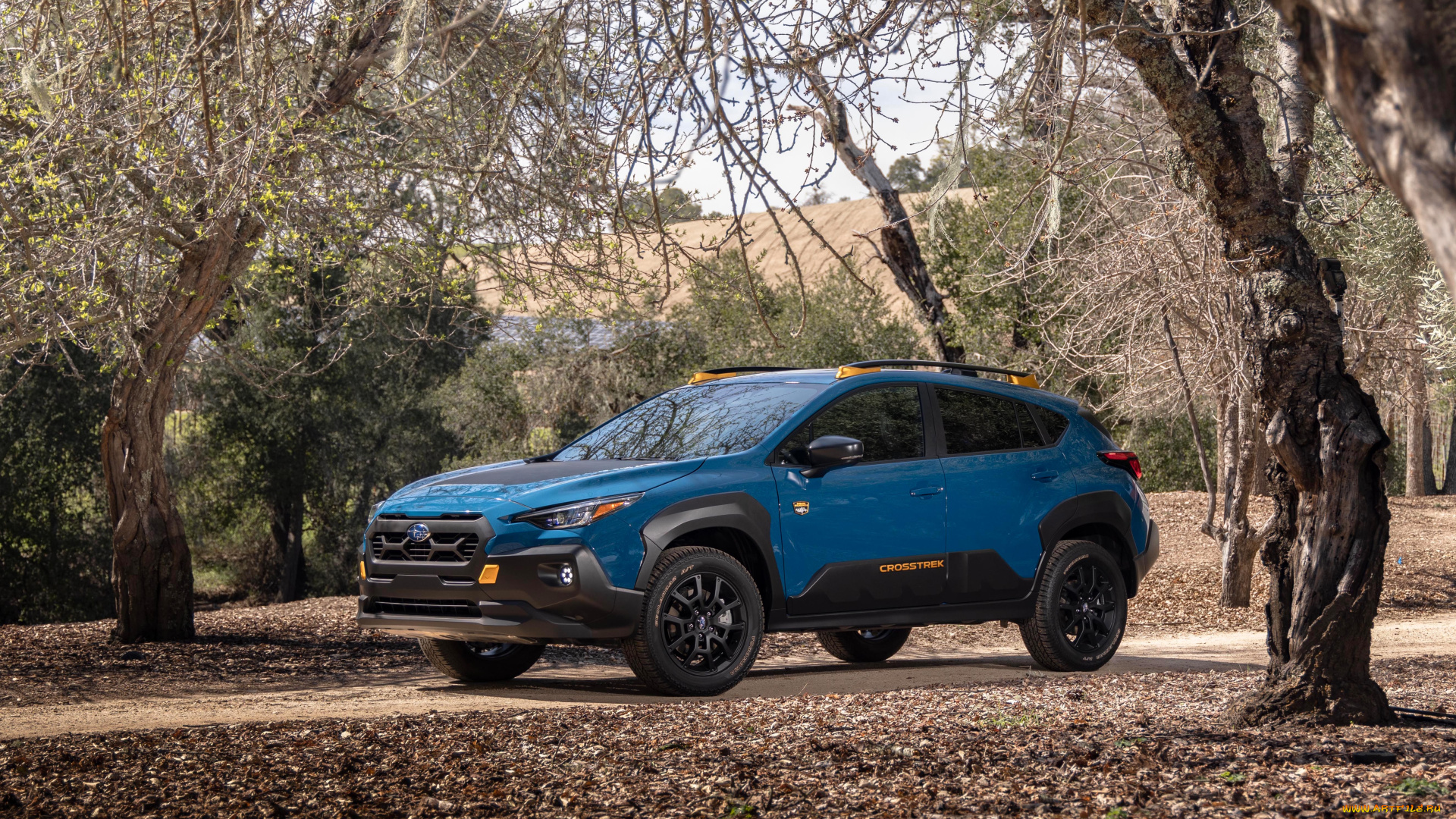 автомобили, subaru