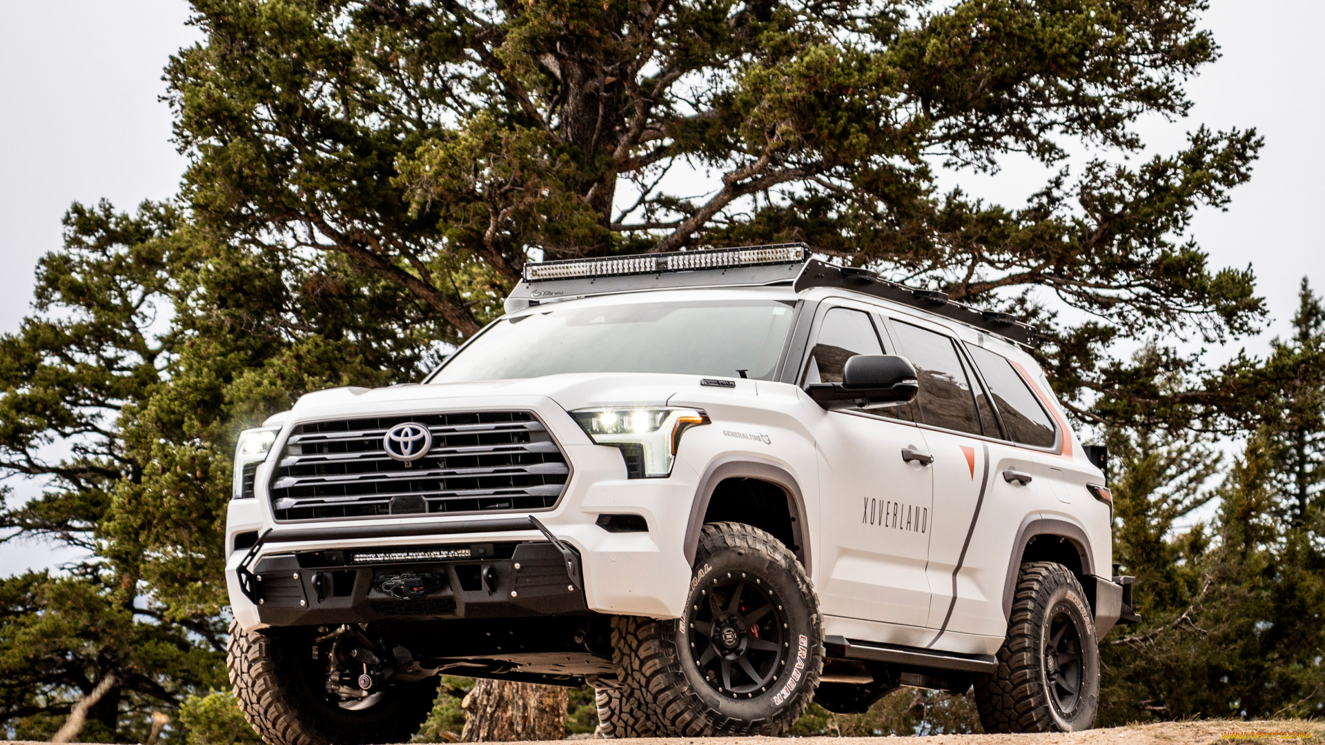 автомобили, toyota