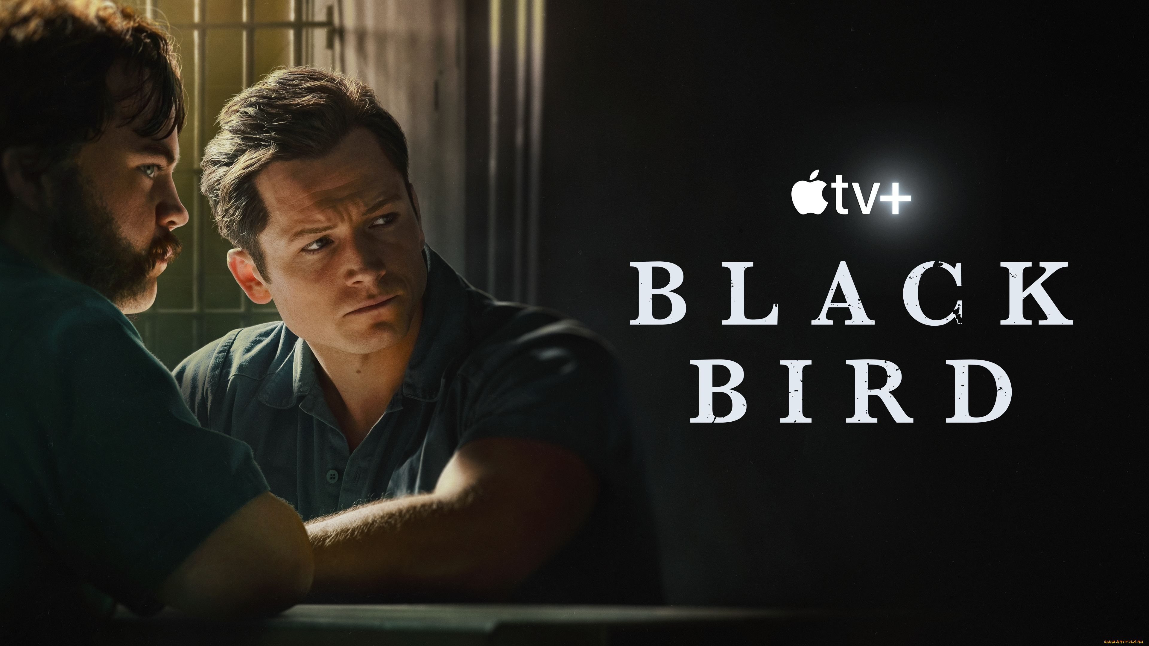 black, bird, , мини–сериал, 2022, кино, фильмы, -unknown, , другое, черная, птица, сериал, криминал, биография, детектив, триллер, taron, egerton