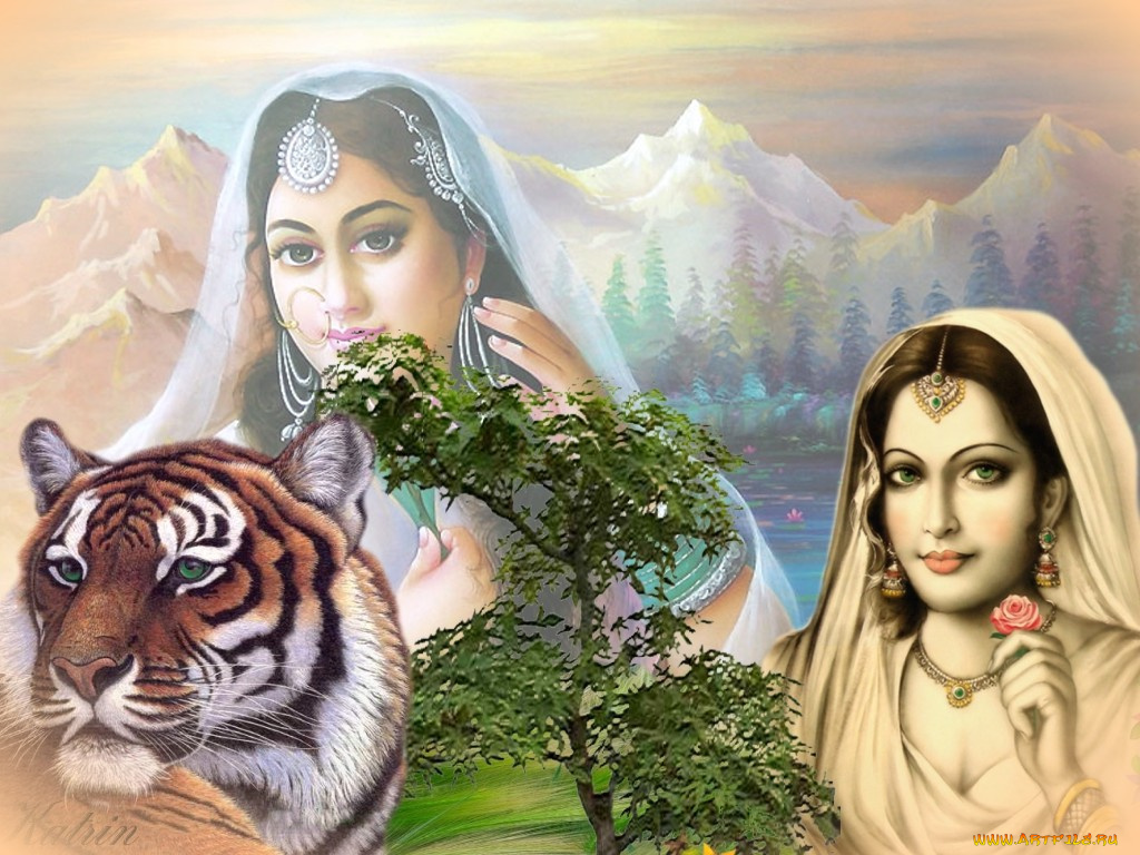 montain, flower, разное