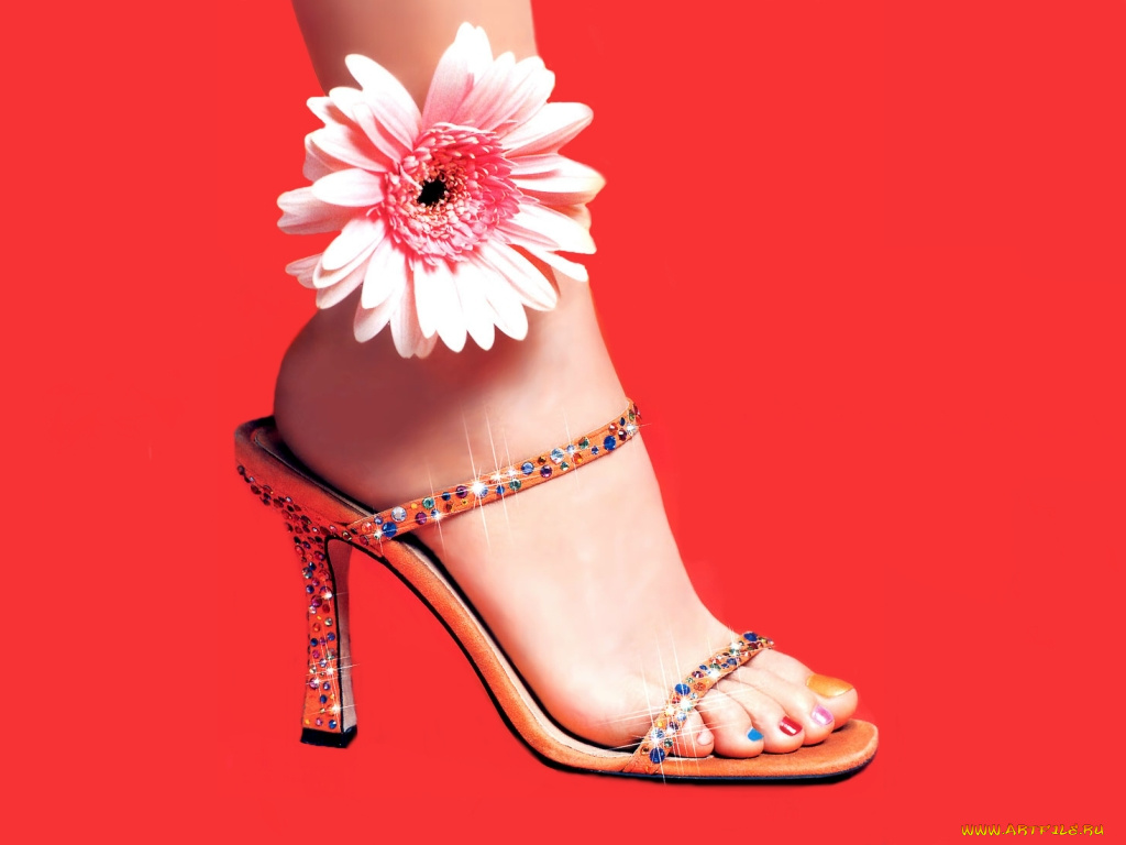 разное, одежда, обувь, текстиль, экипировка