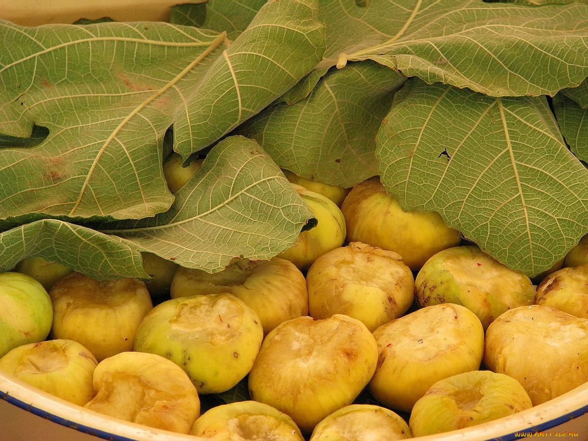 инжир, еда, фрукты, ягоды