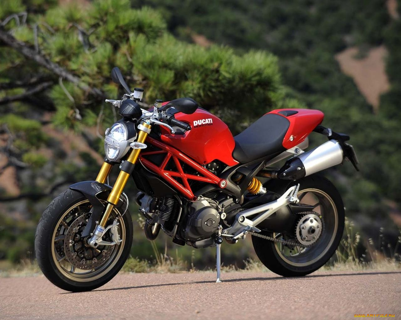 мотоциклы, ducati