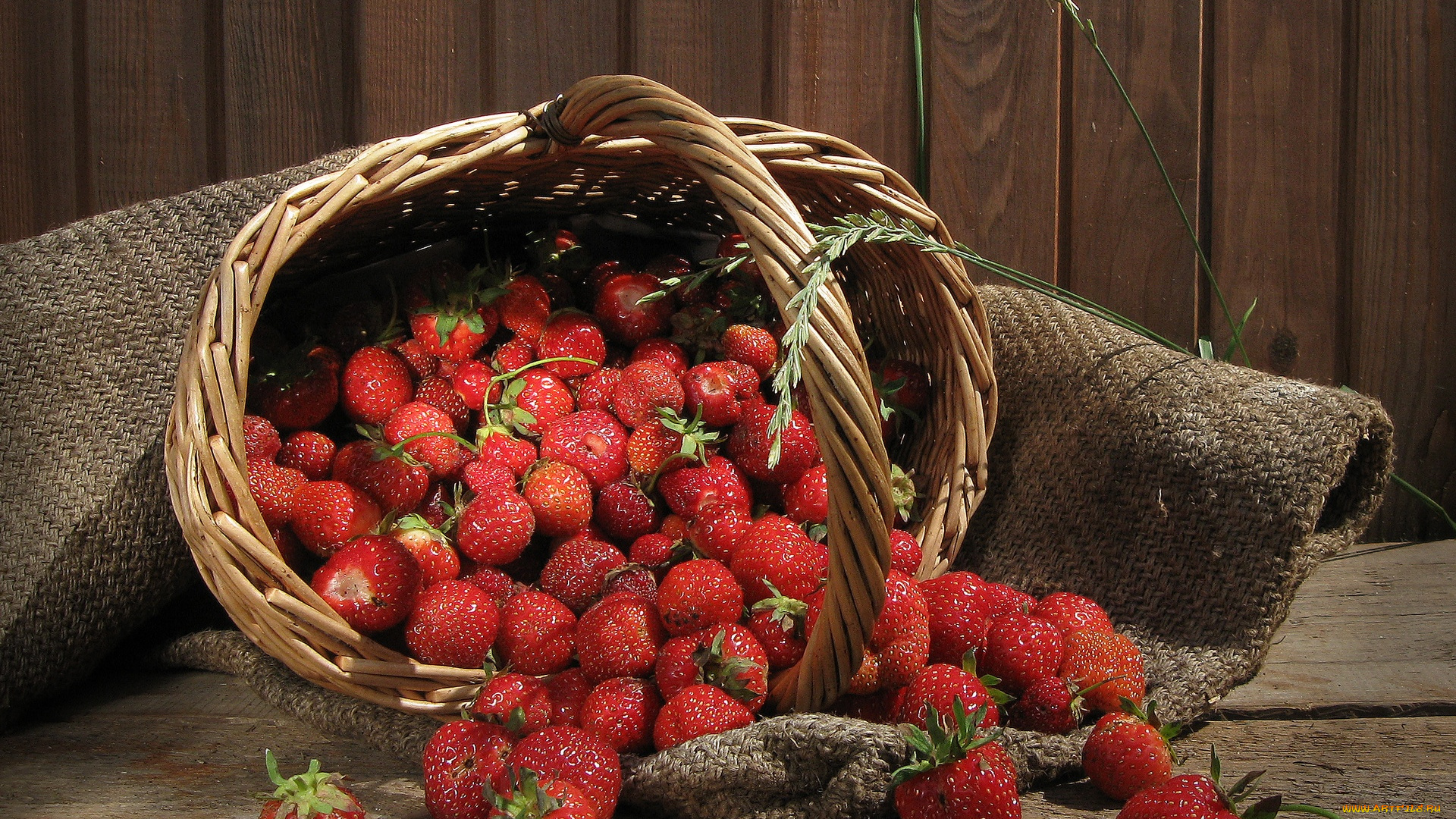 еда, клубника, земляника