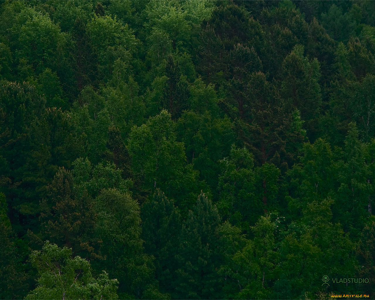 рисованные, vladstudio