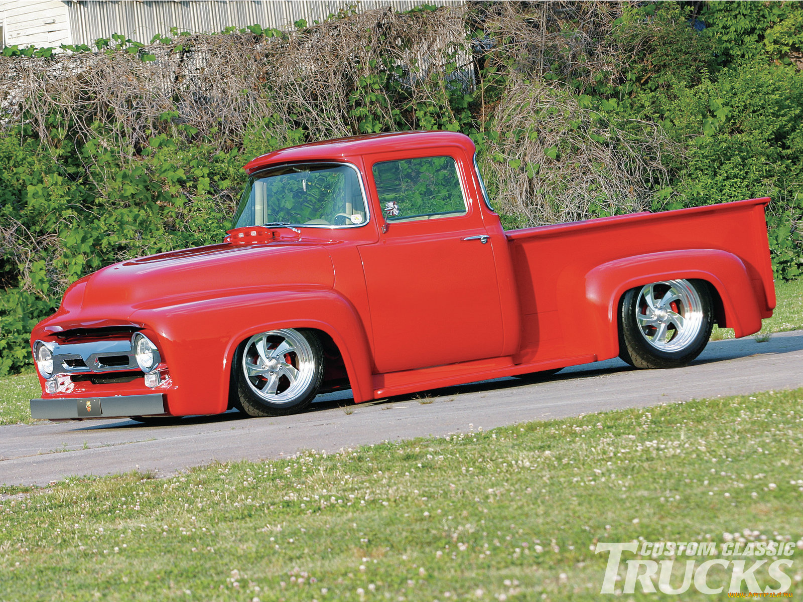 1956, ford, f100, автомобили, custom, pick, up