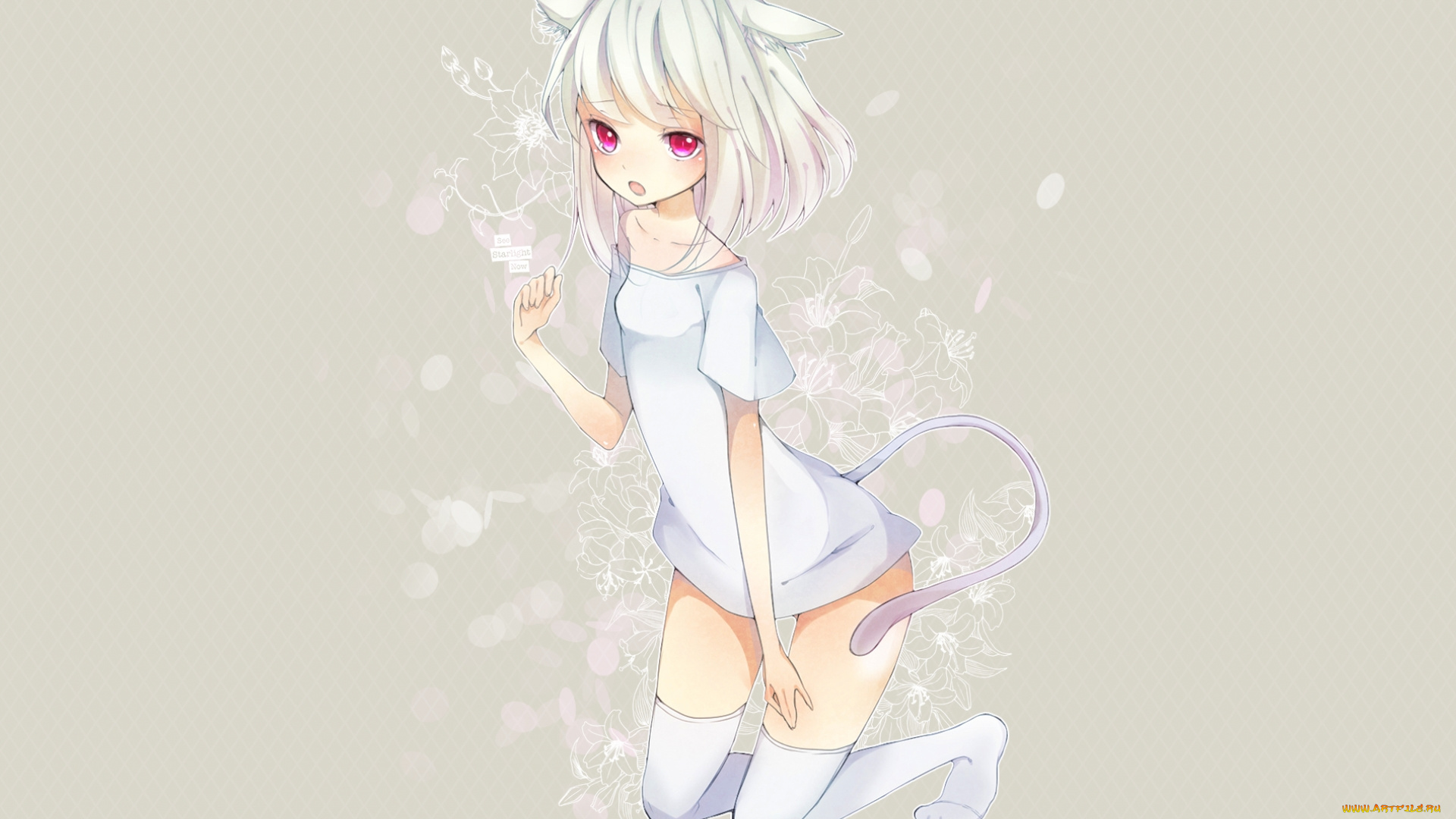 аниме, animals, девушка, неко