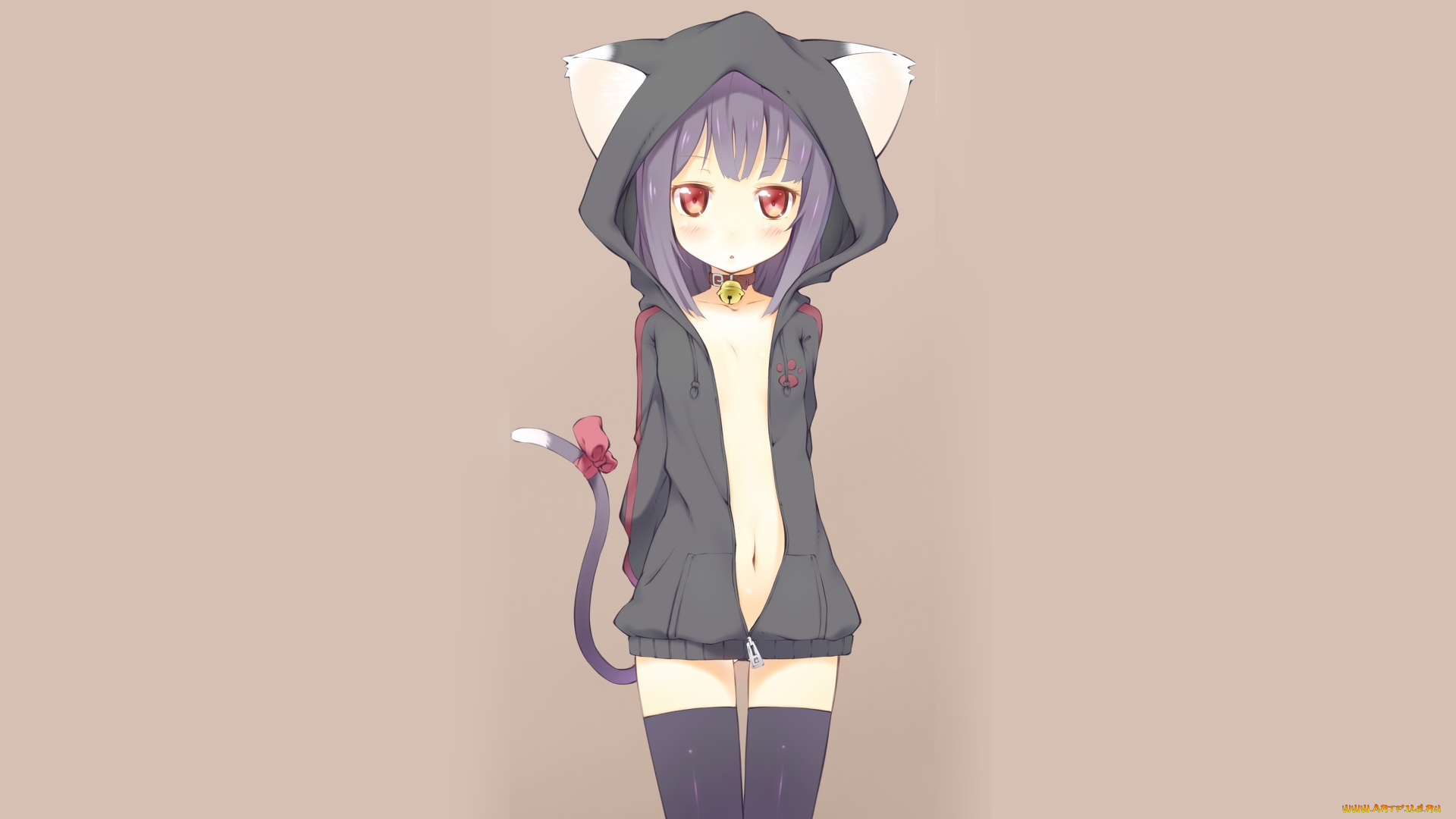 аниме, animals, неко, девушка