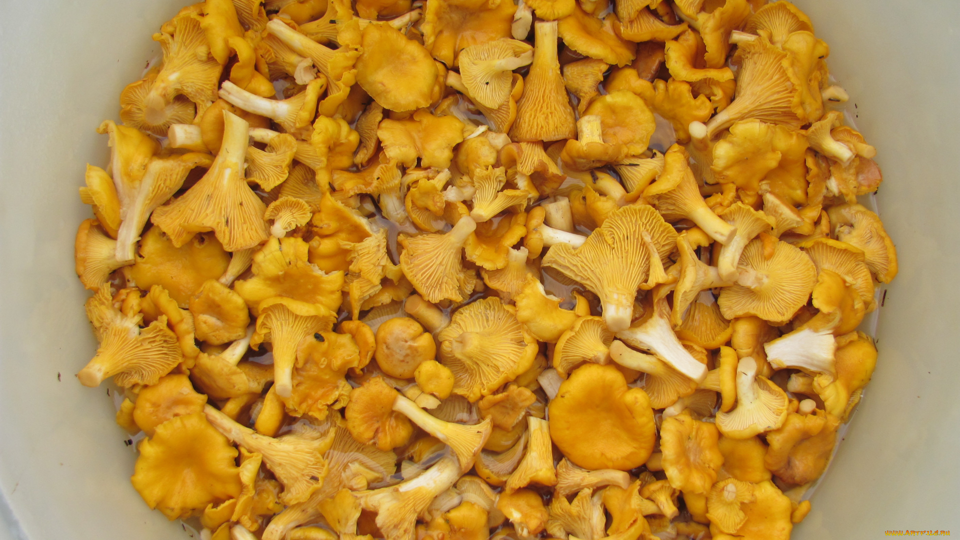 еда, грибы, грибные, блюда, в, воде, много, желтые