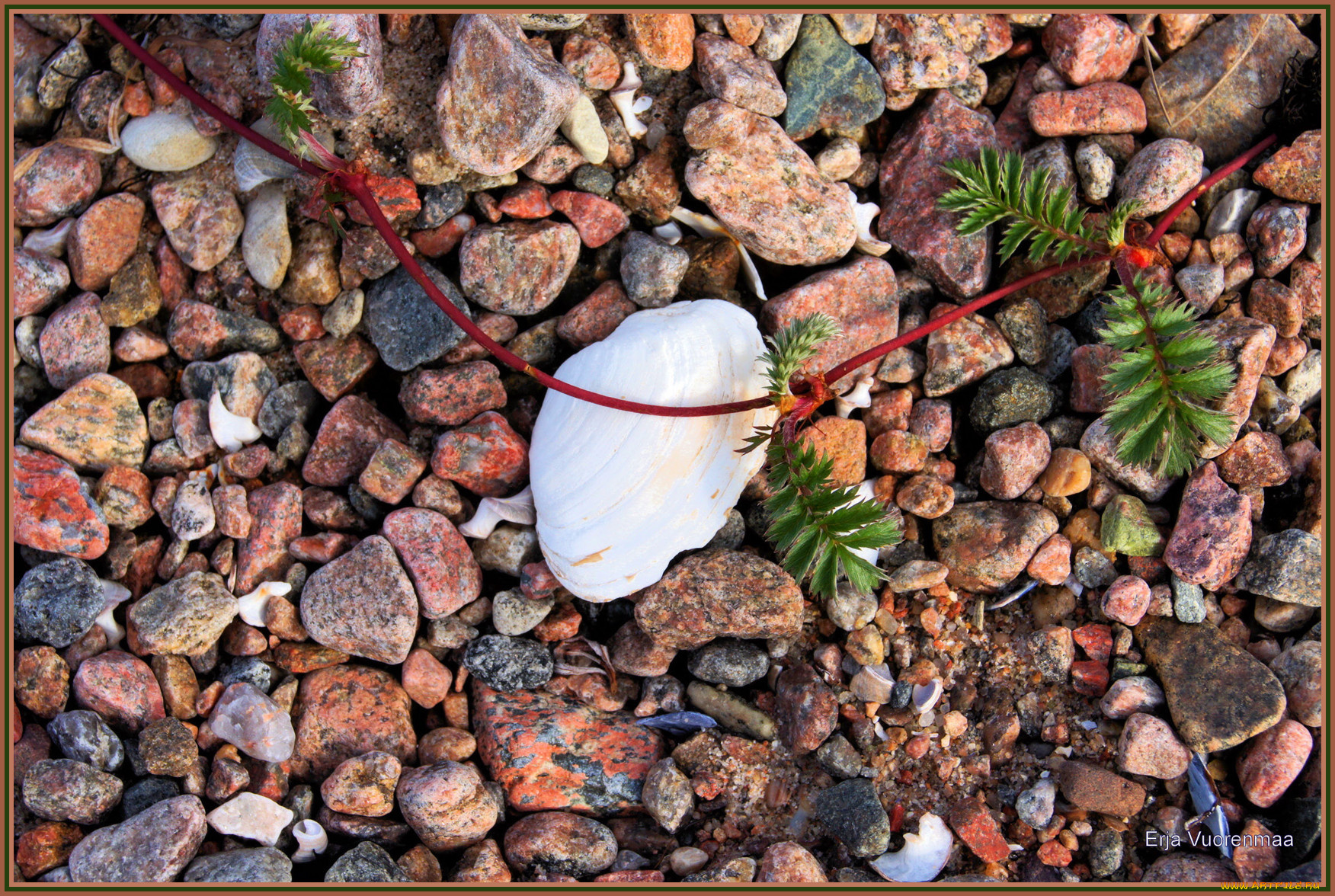 природа, камни, минералы