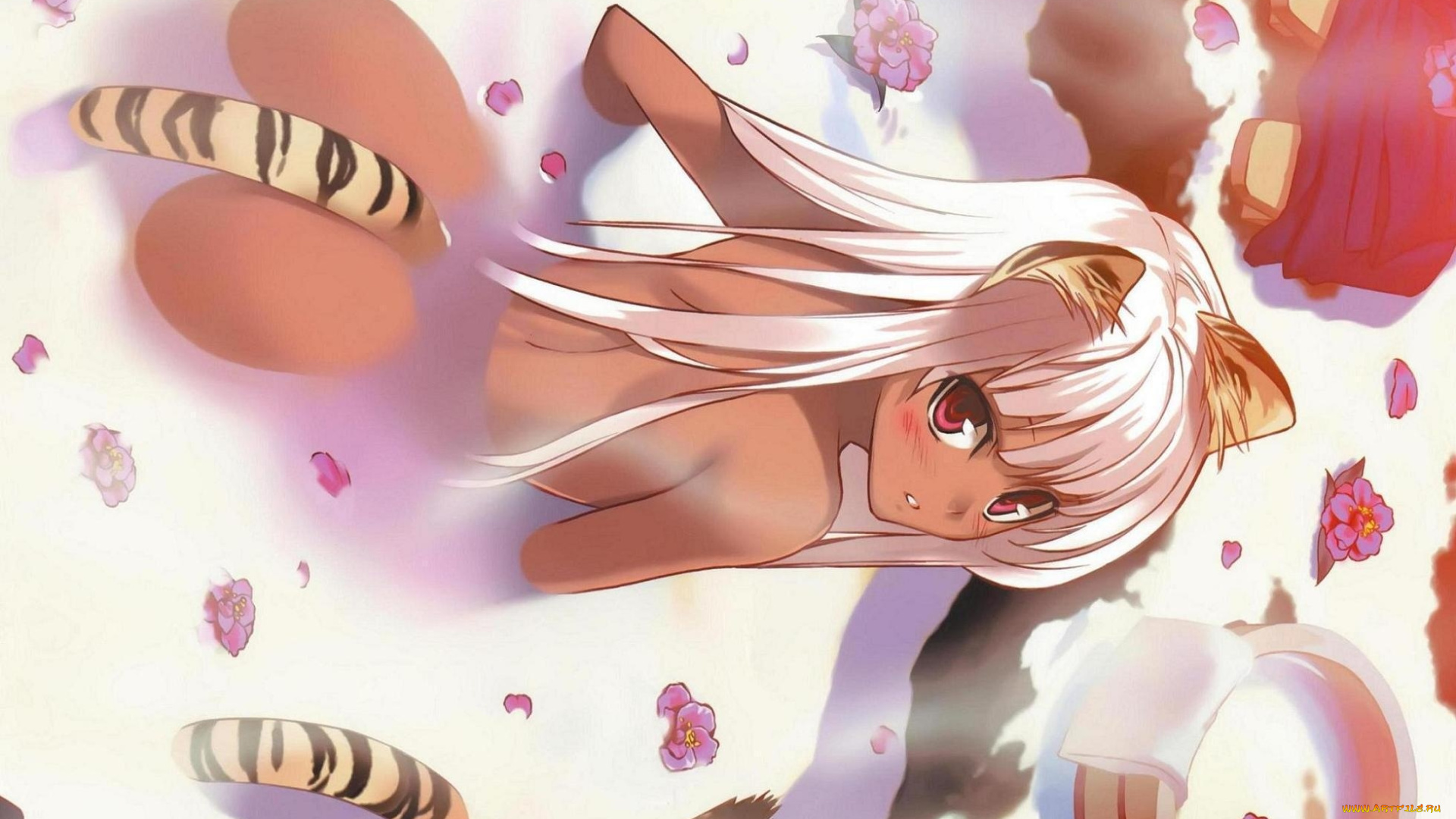 аниме, animals, кошка