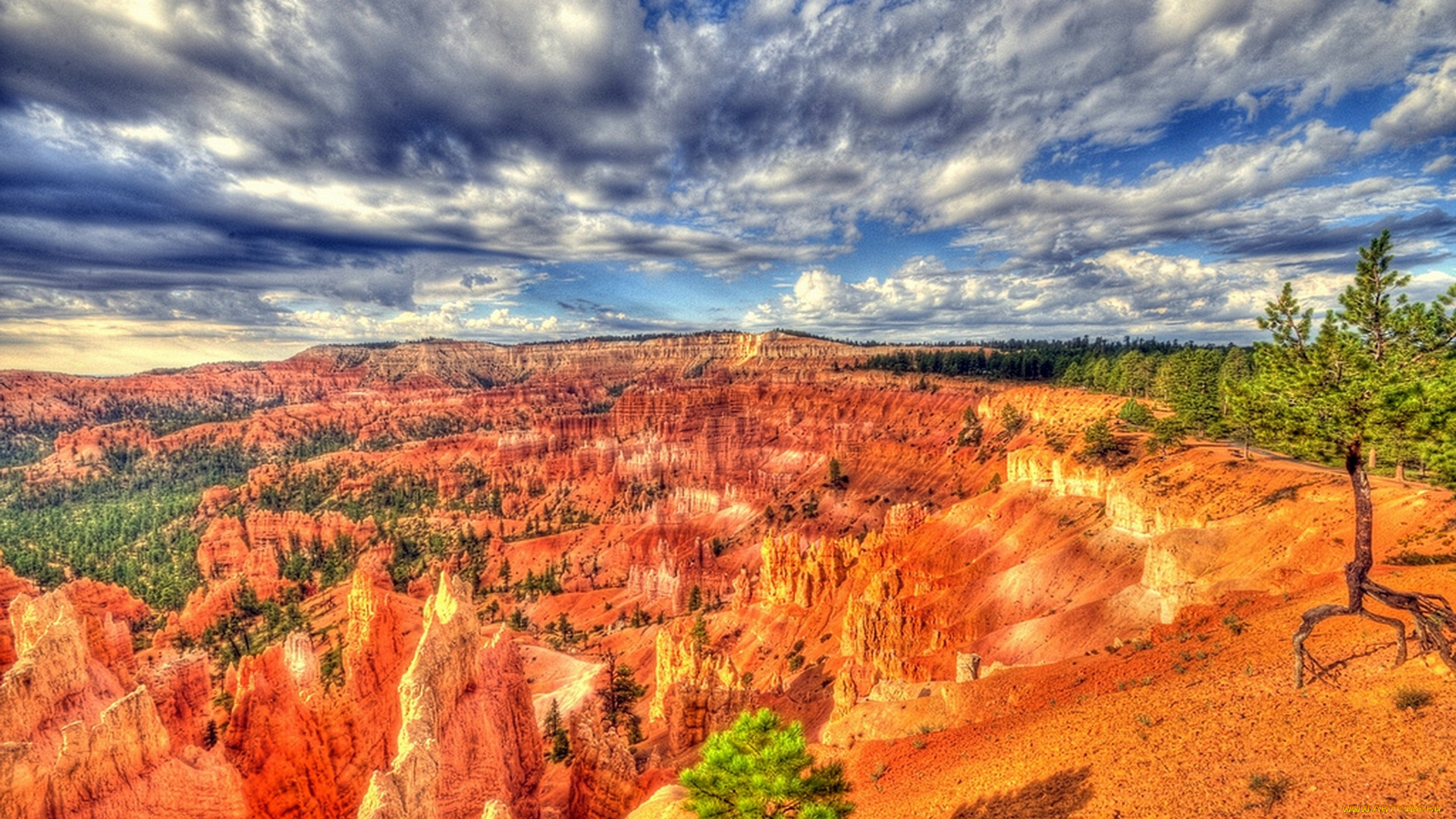 природа, горы, дерево, скалы