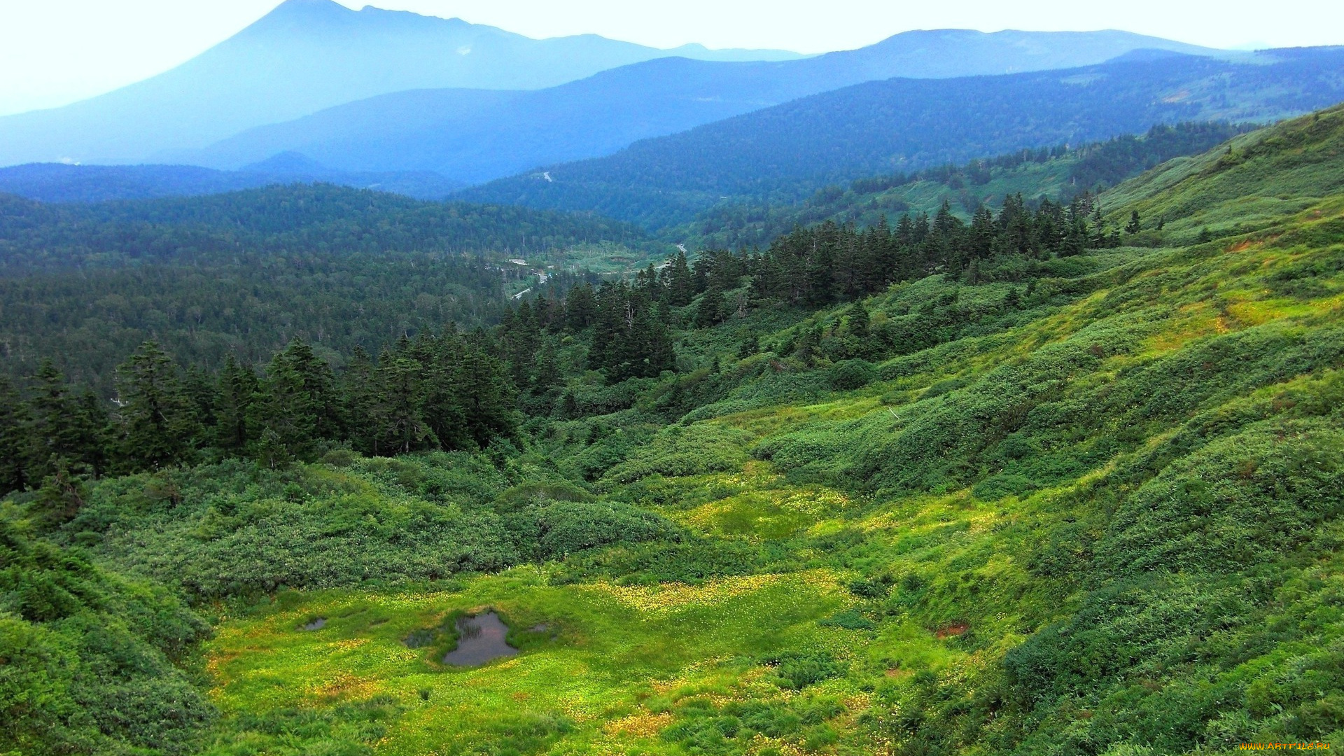 природа, пейзажи, лес, горы
