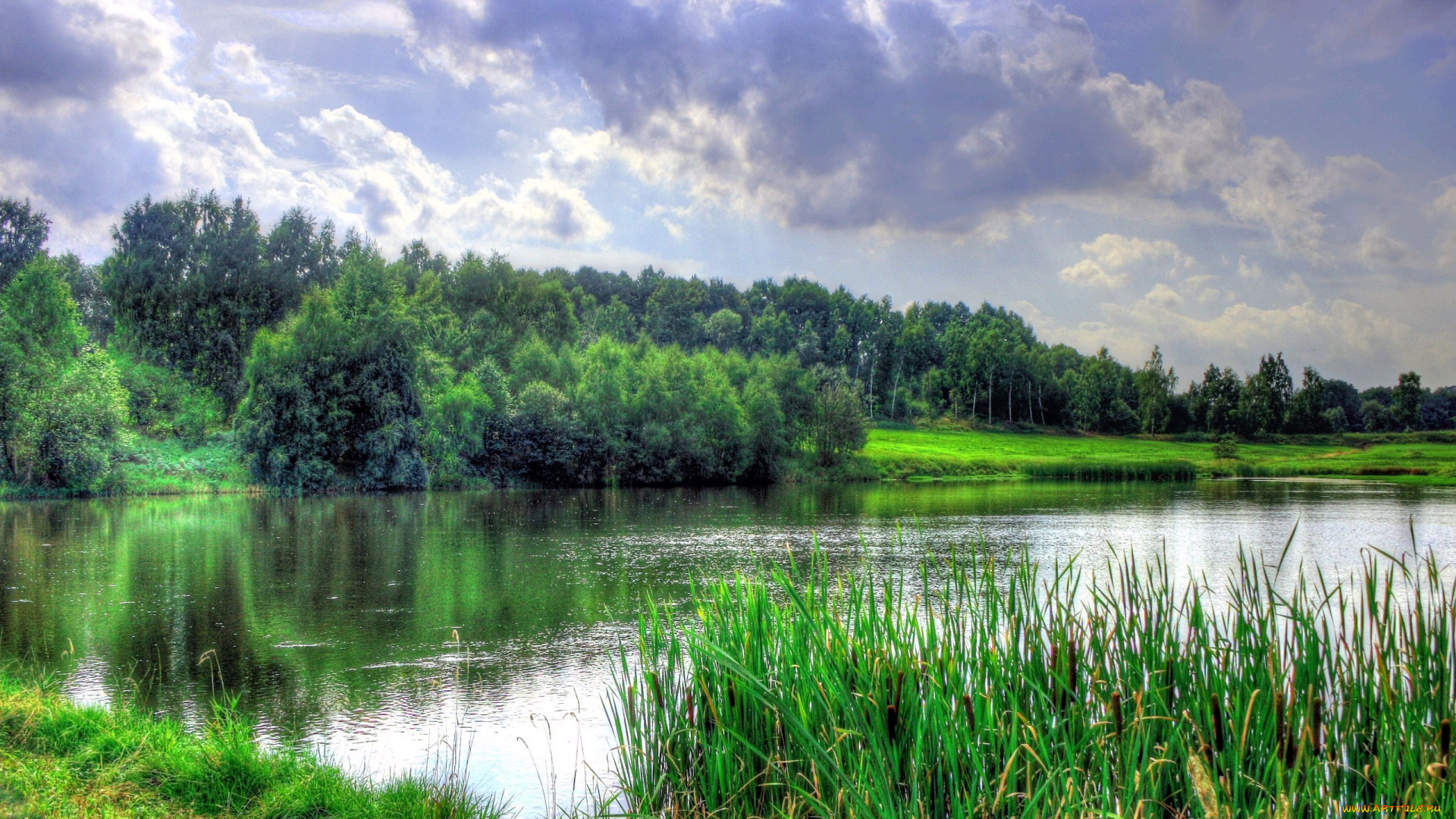 природа, реки, озера, деревья, озеро