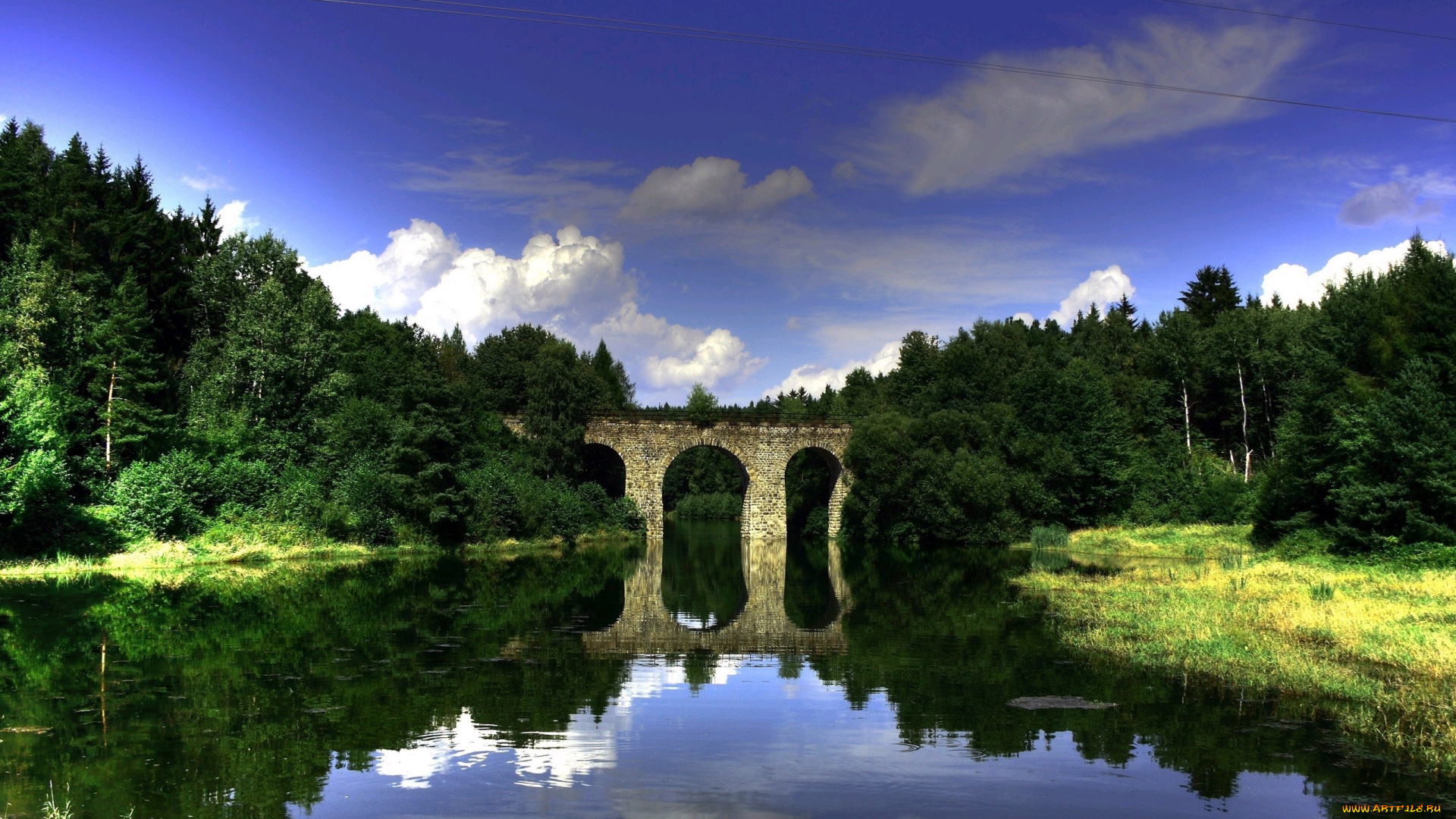 природа, реки, озера, лес, река