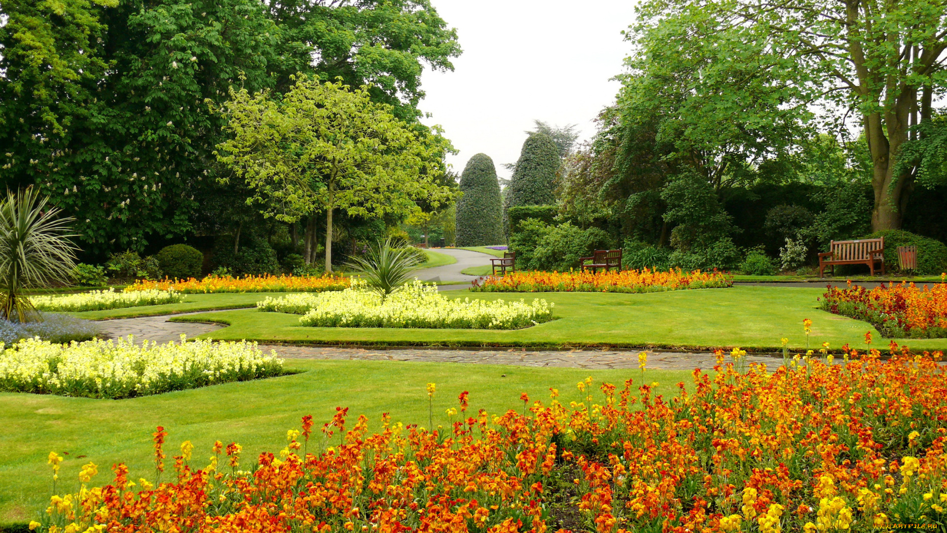 великобритания, Честер, парк, гросвенор, природа