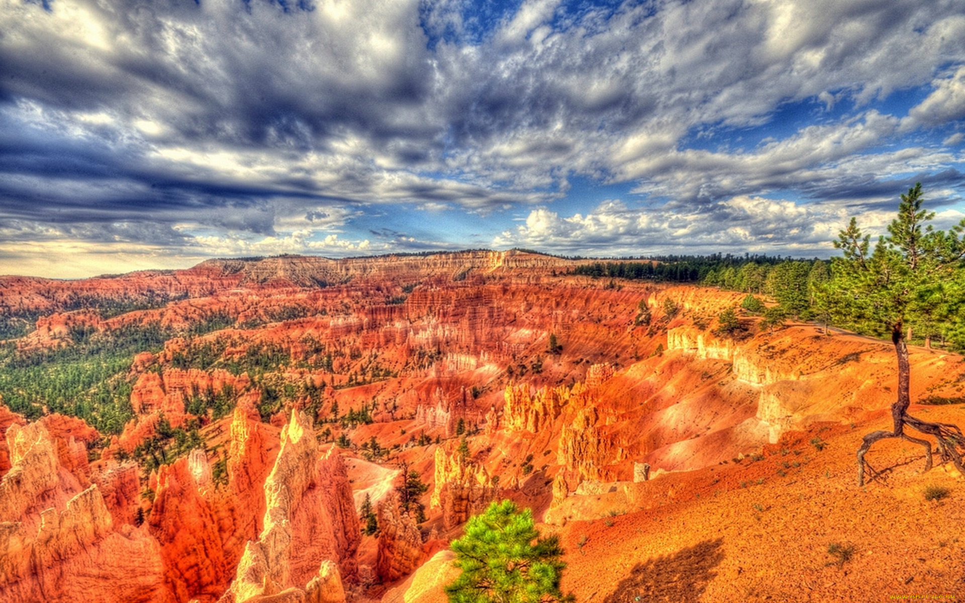 природа, горы, дерево, скалы