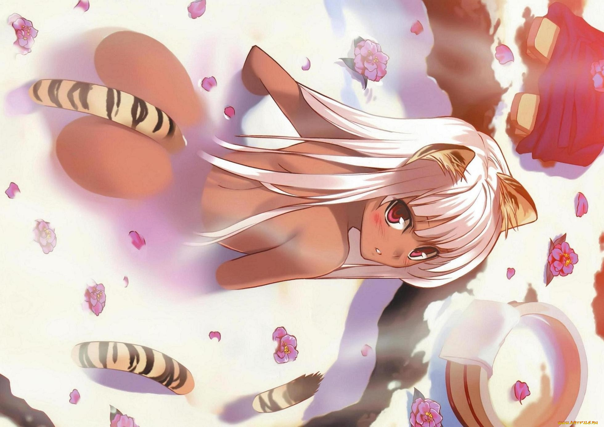 аниме, animals, кошка