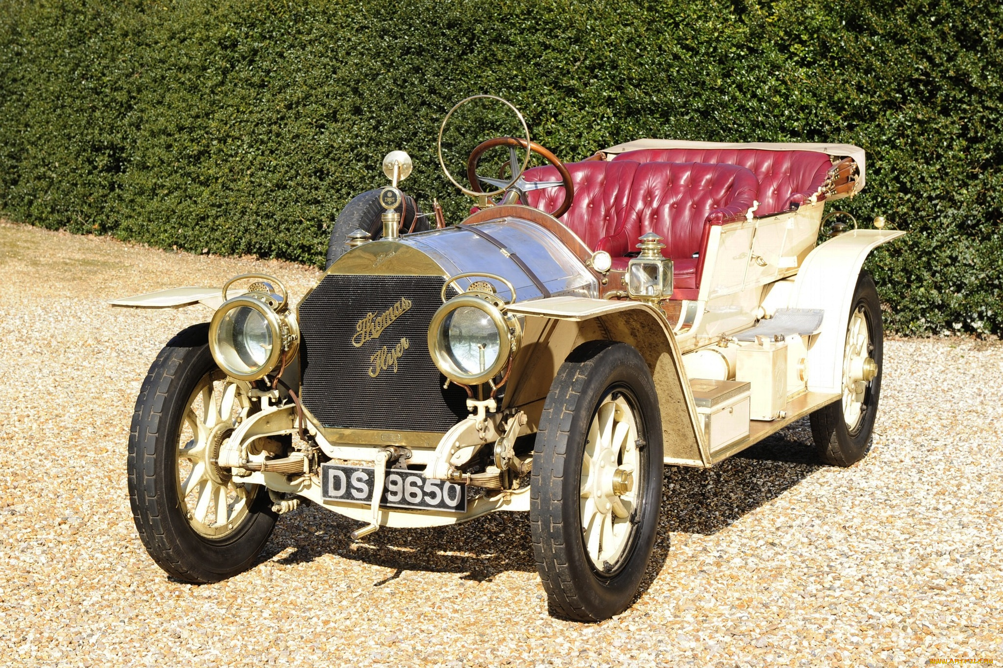 автомобили, классика, кусты, дорога