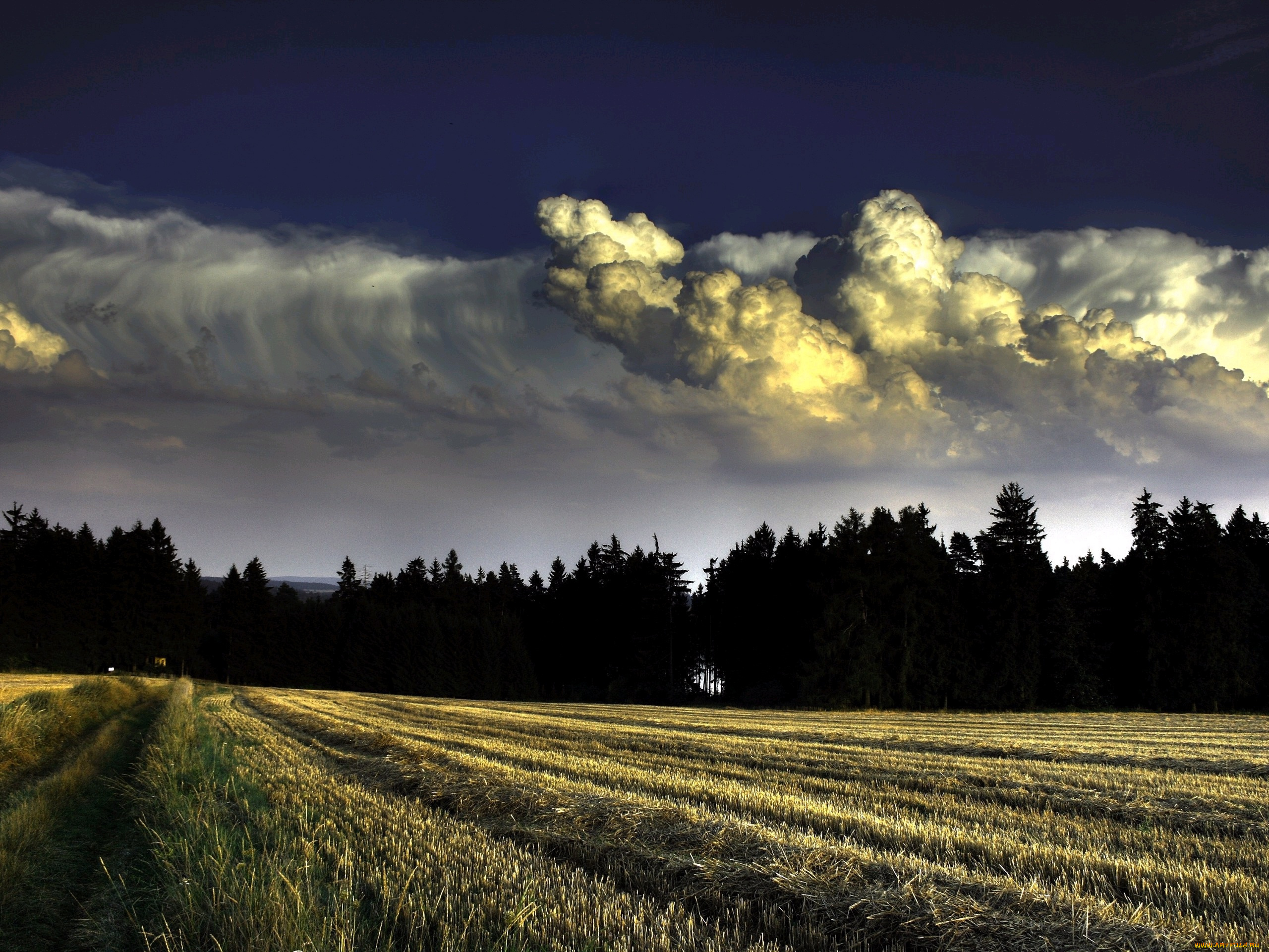 природа, поля, поле, тучи