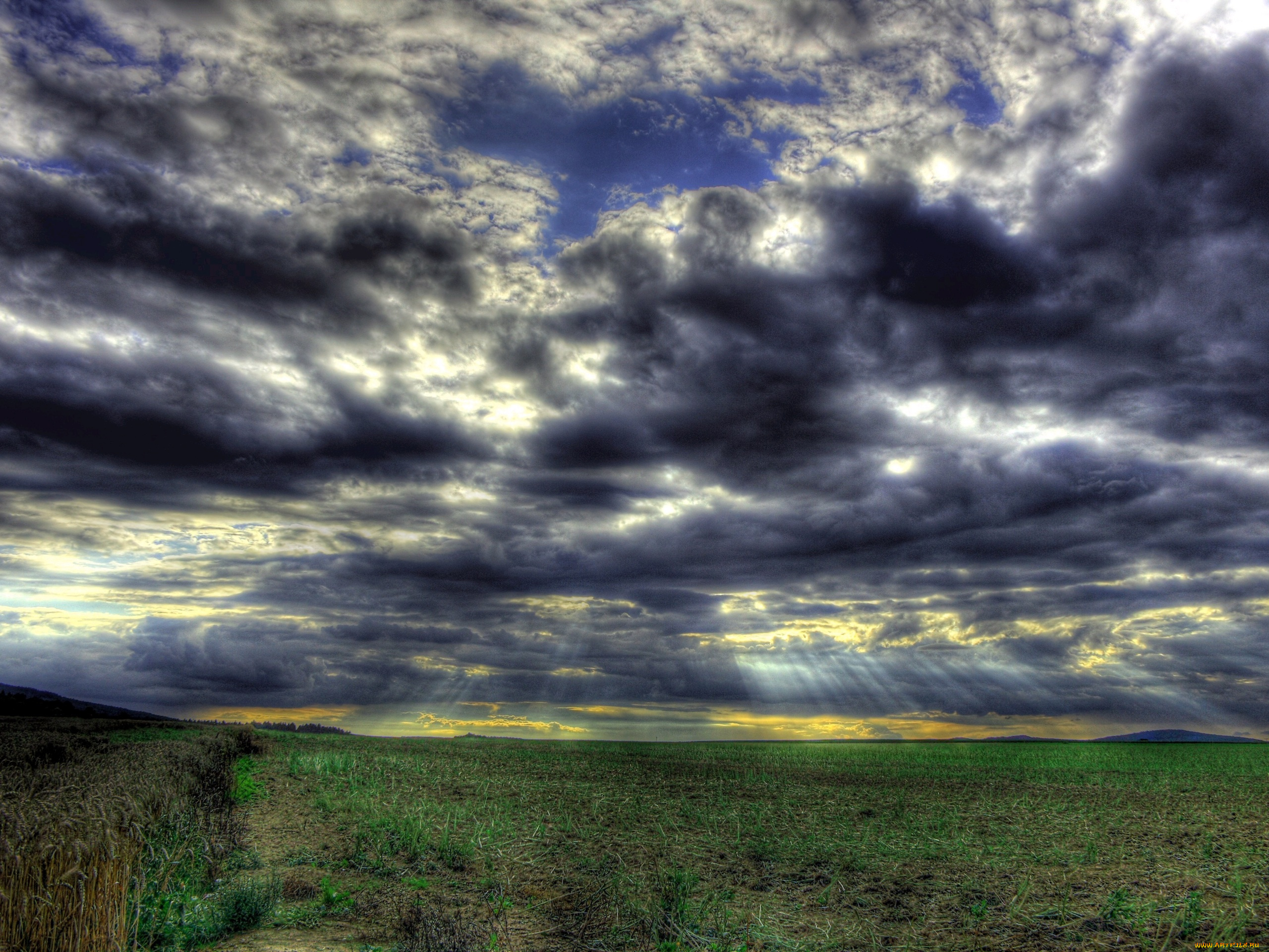 природа, поля, поле, тучи