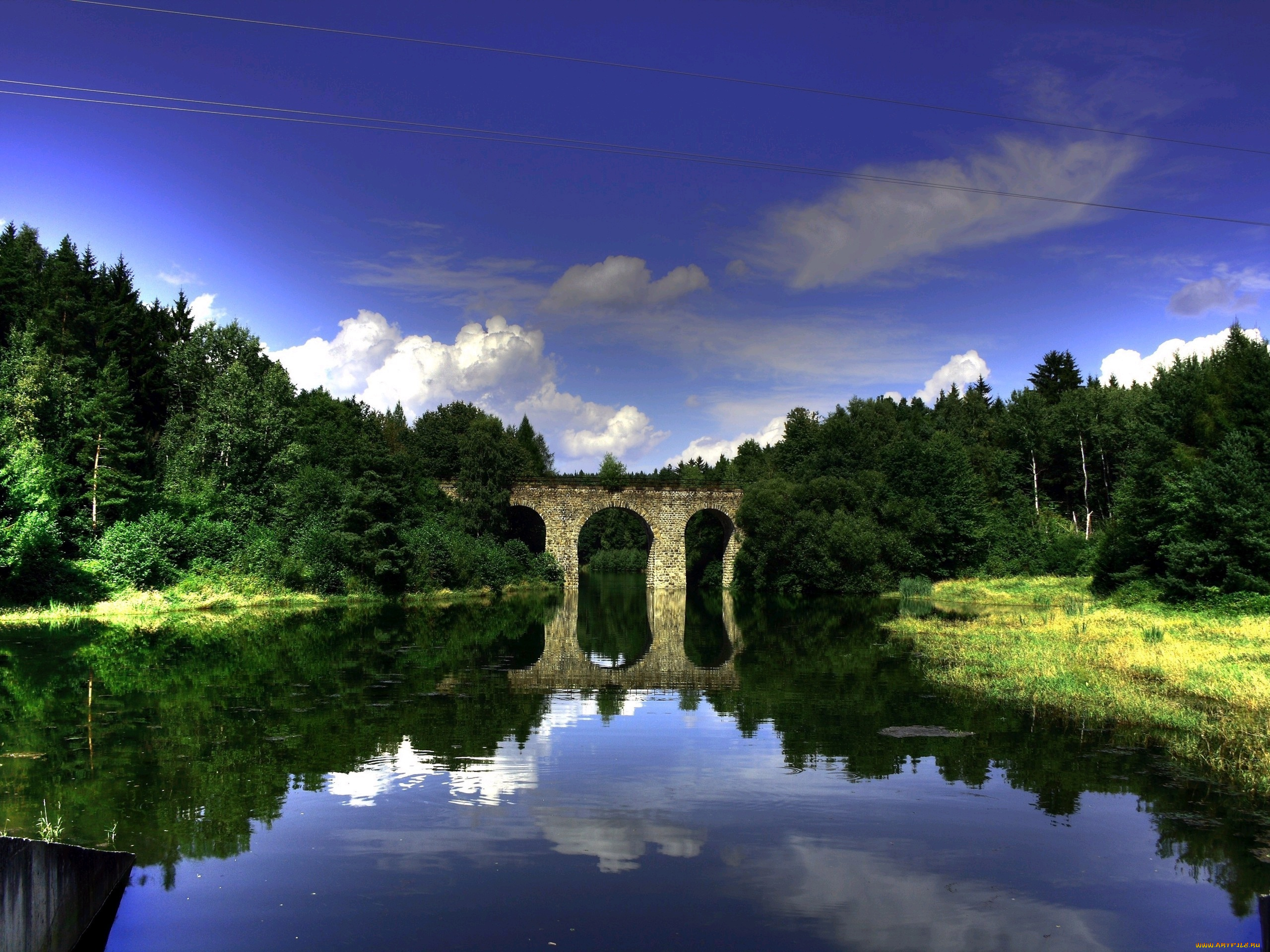 природа, реки, озера, лес, река