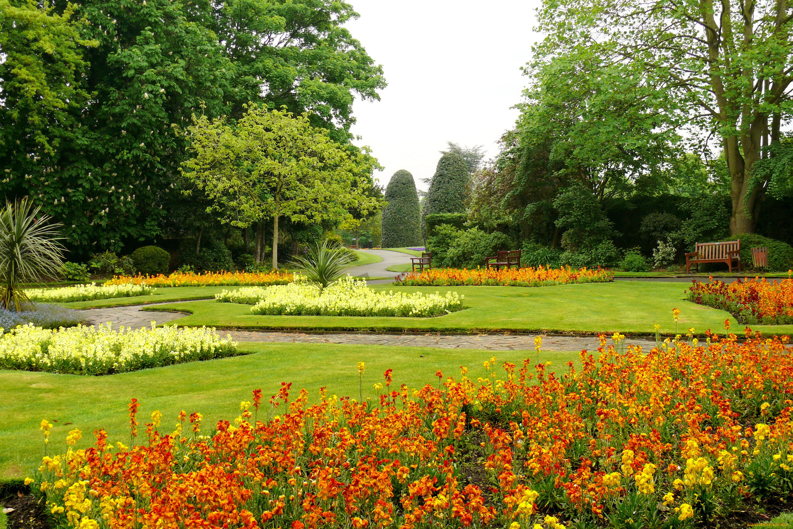 великобритания, Честер, парк, гросвенор, природа