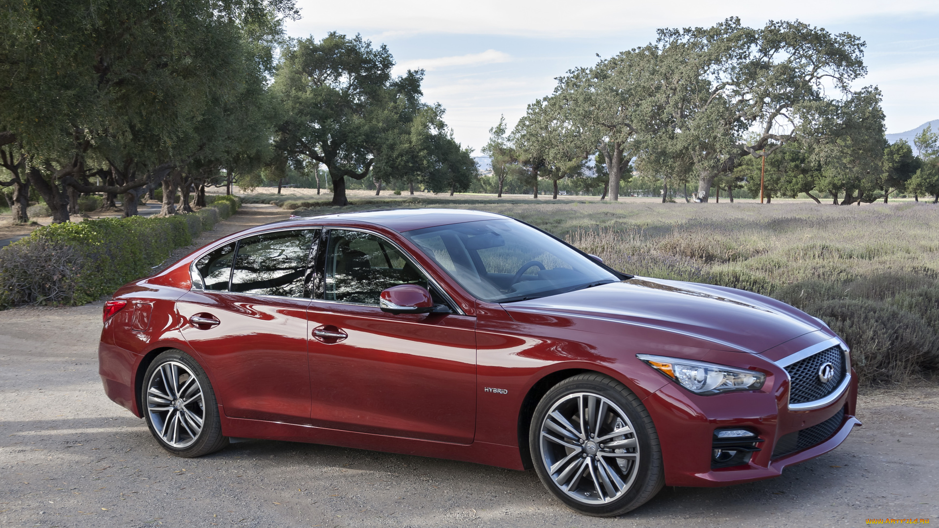 2013, infiniti, q50s, автомобили