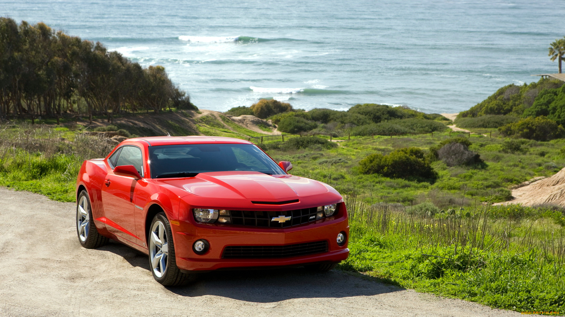 chevrolet, camaro, автомобили, культовый, сша, легковой, автомобиль, gm, division