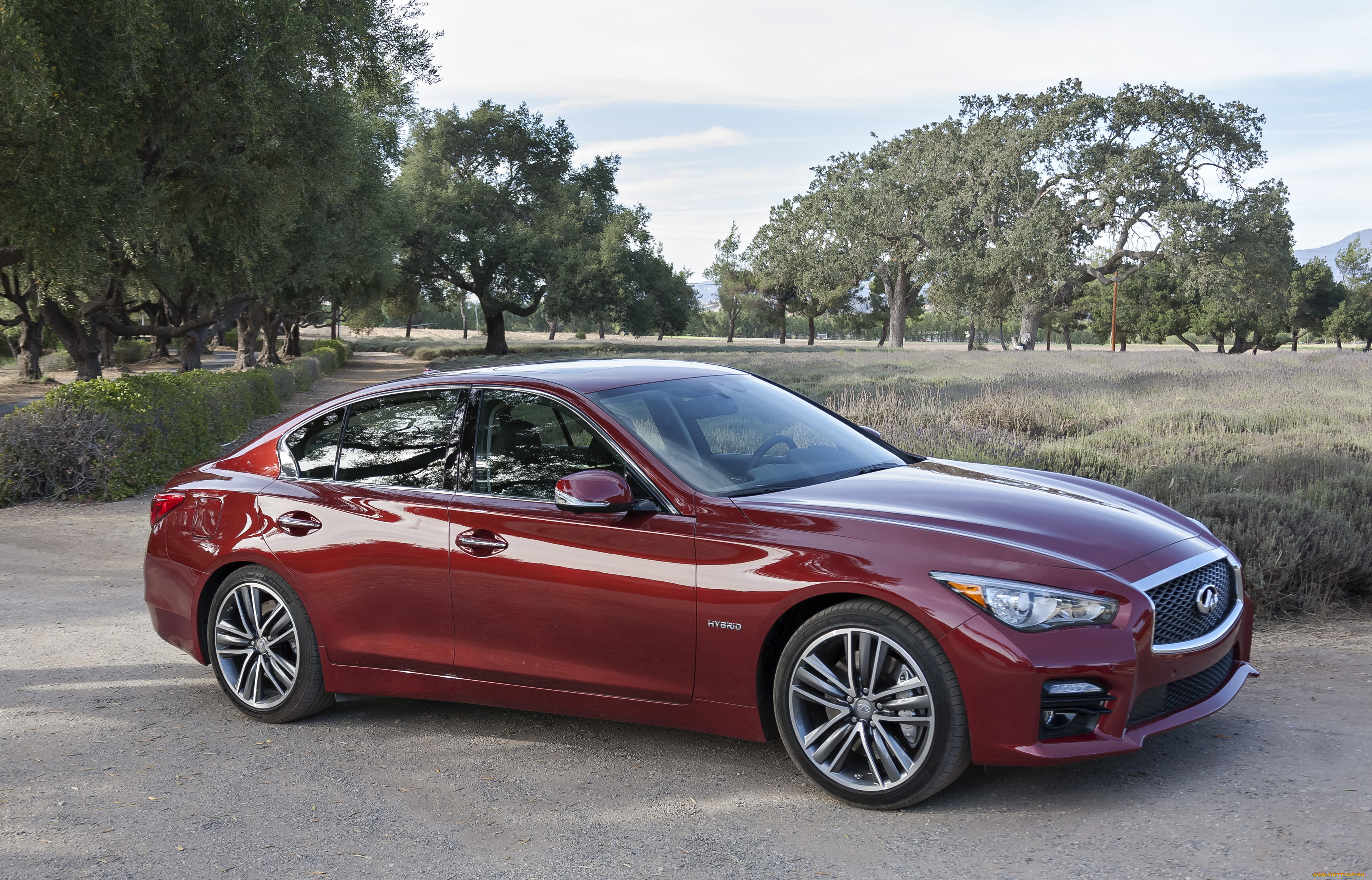 2013, infiniti, q50s, автомобили