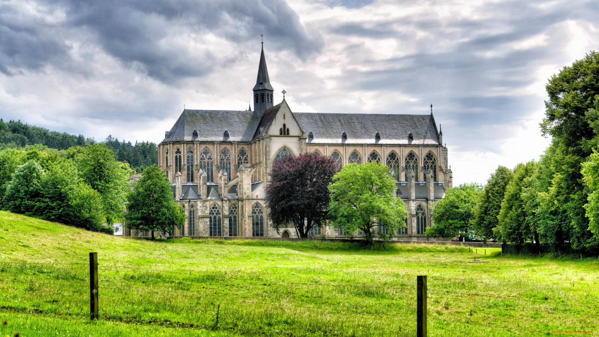altenberg, abbey, , germany, города, -, католические, соборы, , костелы, , аббатства, пейзаж, собор, germany, трава, altenberg, деревья, альтенберг, германия