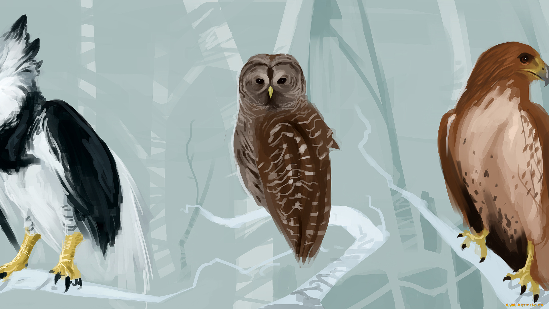 рисованные, животные, , птицы, птицы