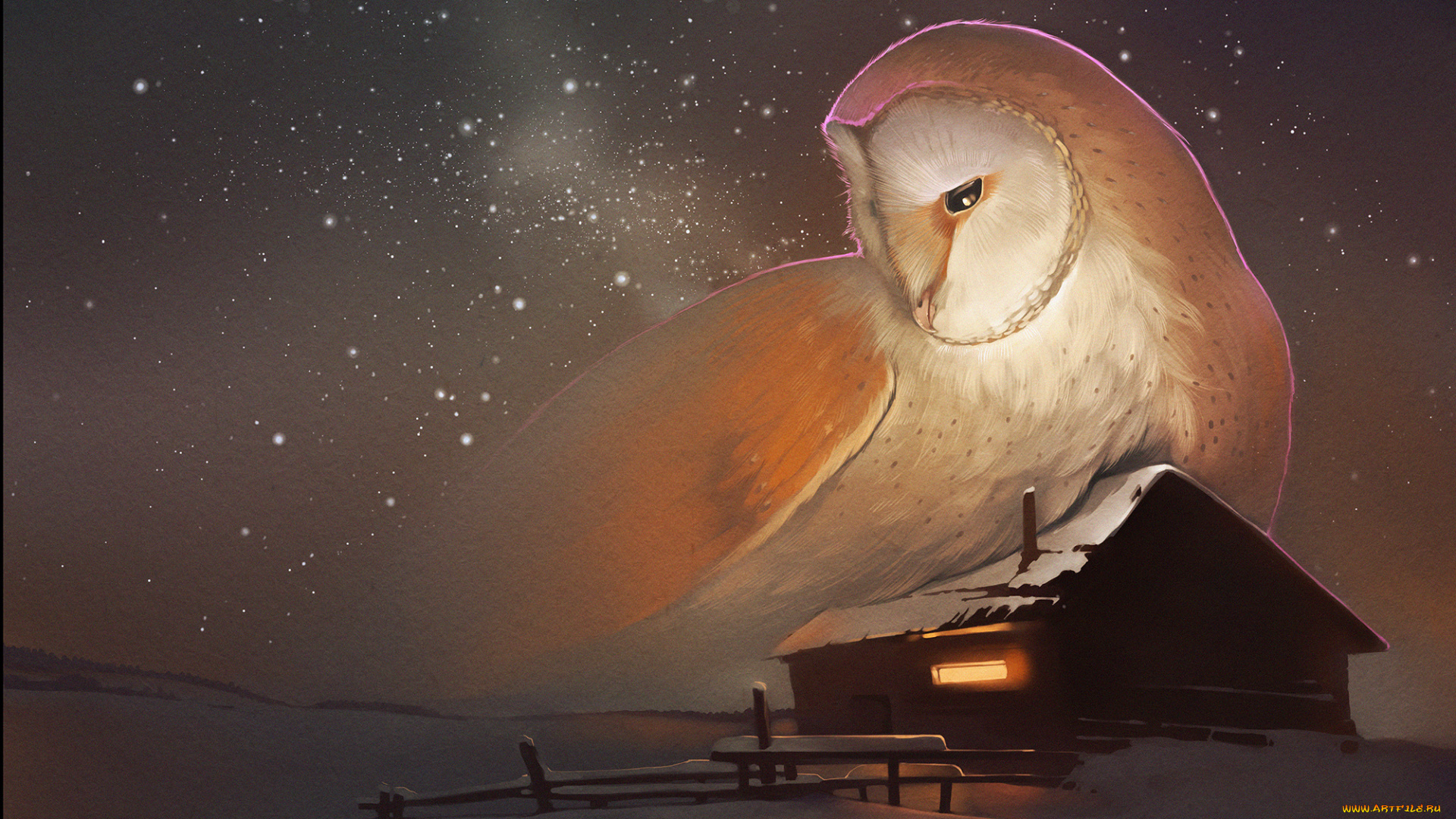 рисованные, животные, , птицы, сова, дом