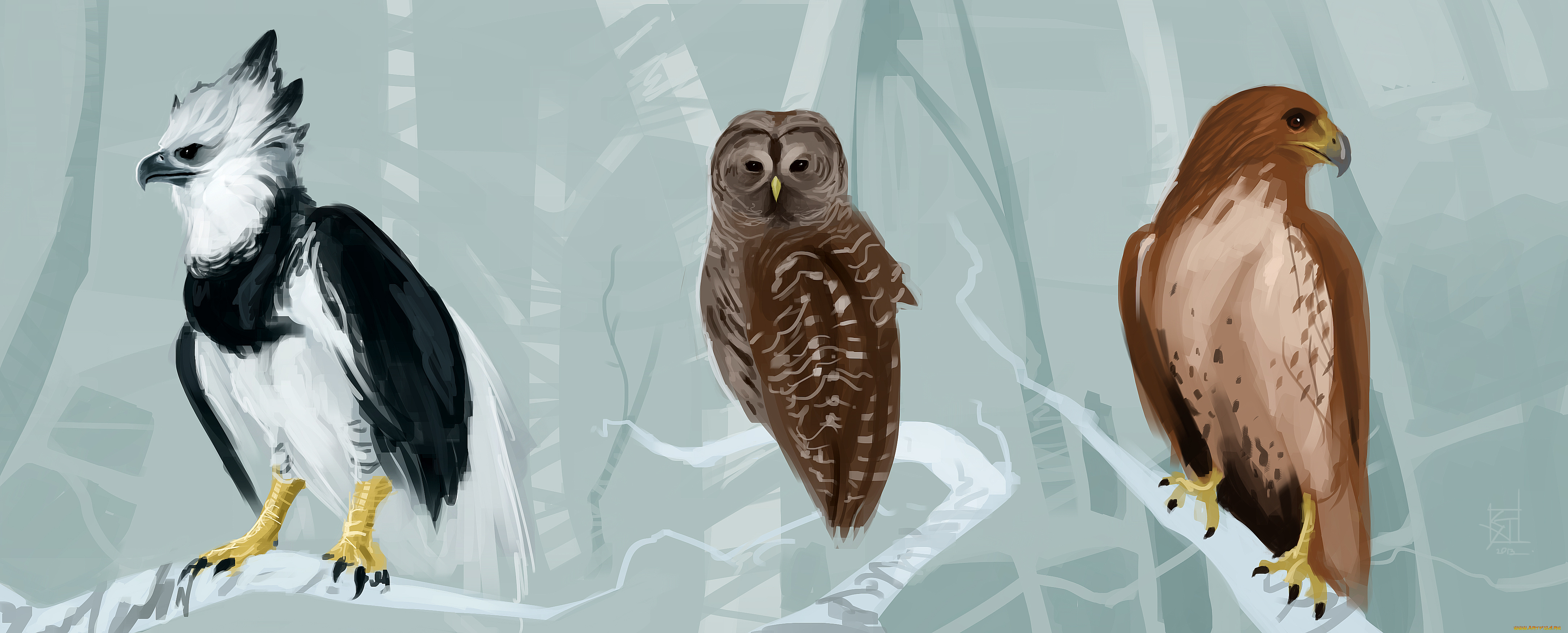 рисованные, животные, , птицы, птицы