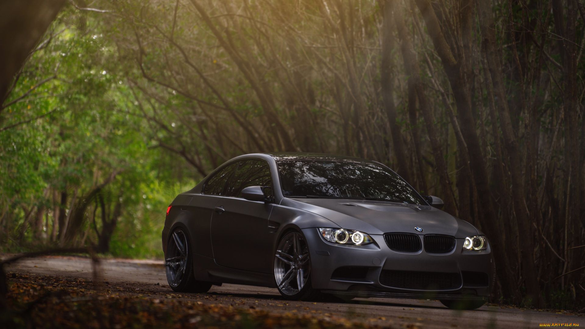 автомобили, bmw, дорога, деревья, машина