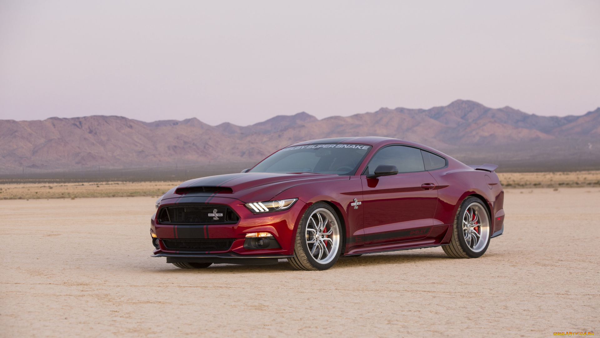 автомобили, mustang, 2015, г, shelby, super, snake