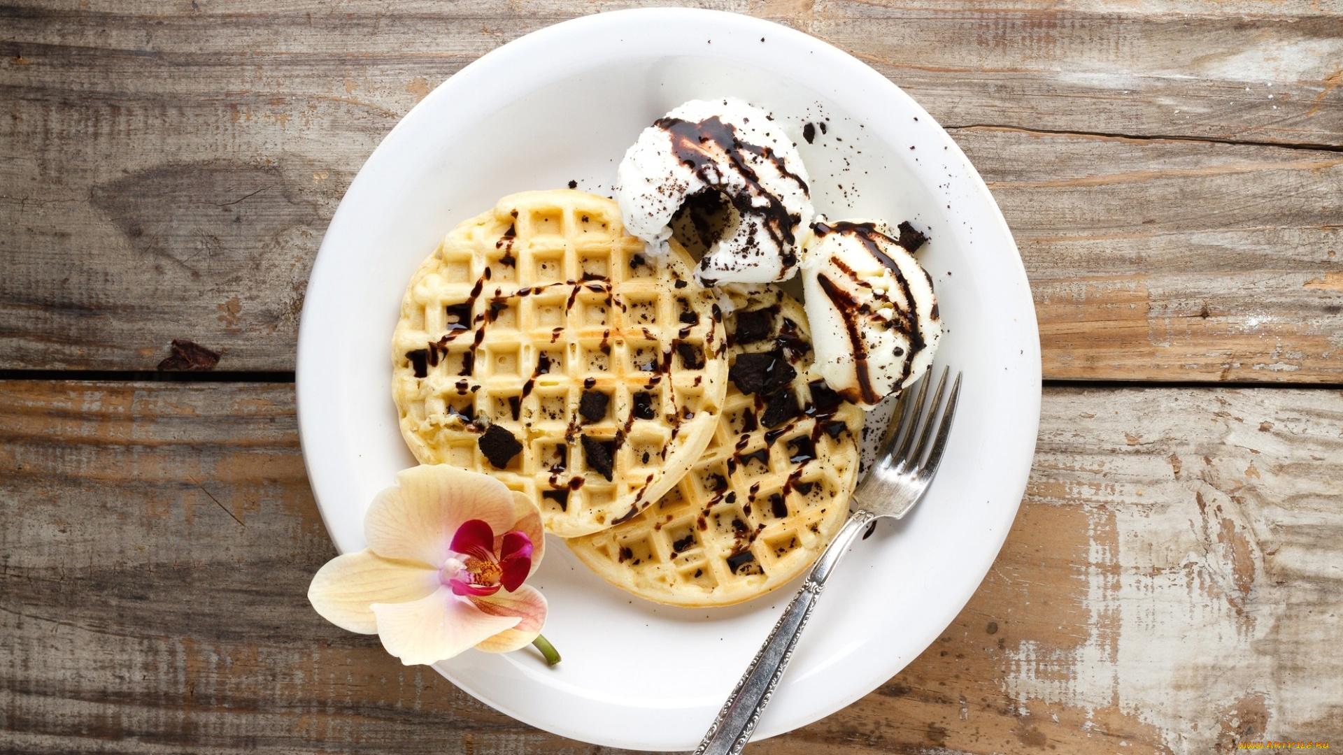 еда, мороженое, , десерты, шоколад, вафли, орхидея, десерт
