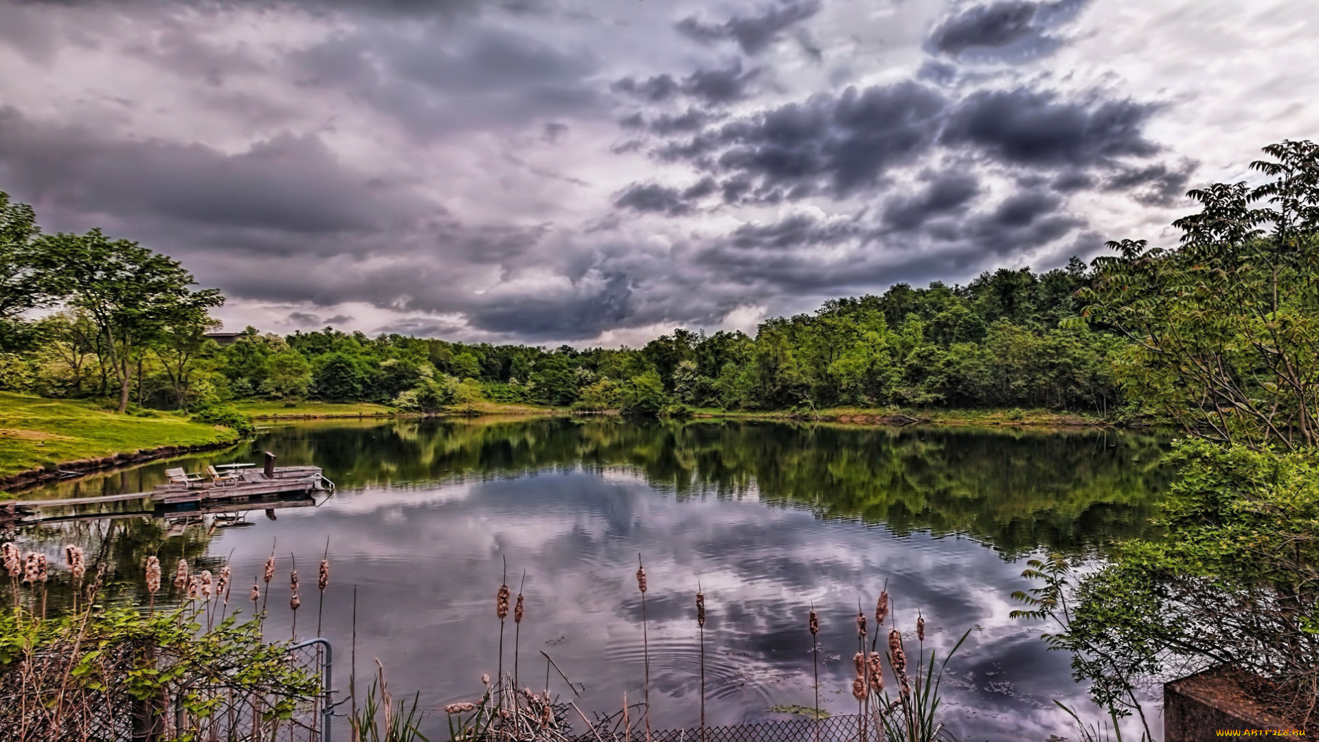 природа, реки, озера, лес, река