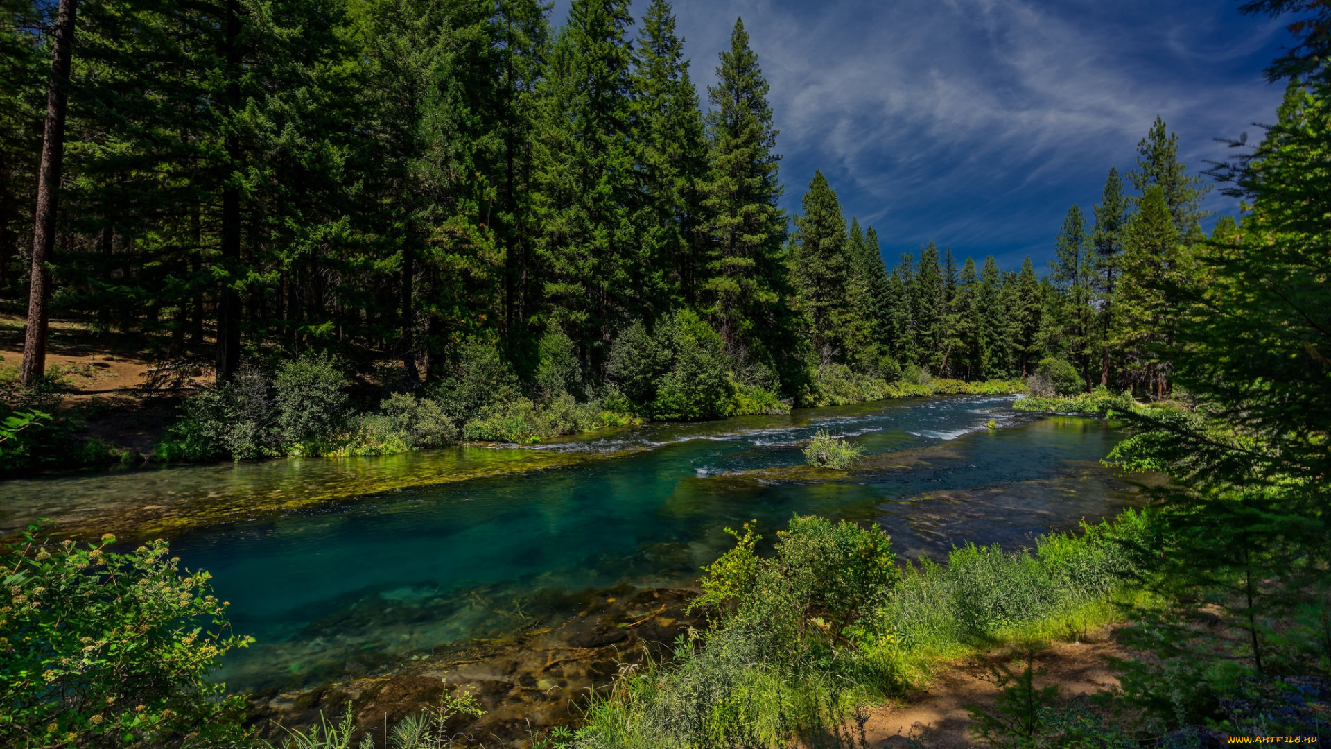природа, реки, озера, река, лес
