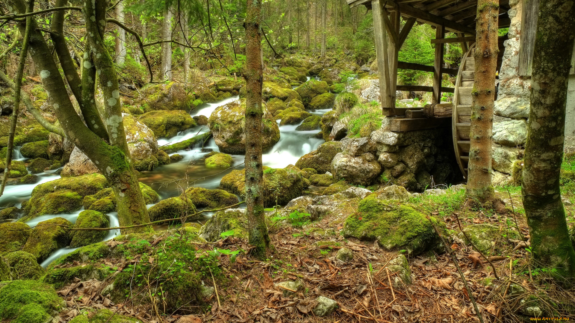 разное, мельницы, лес, деревья, река, ручей, поток, камни, мельница