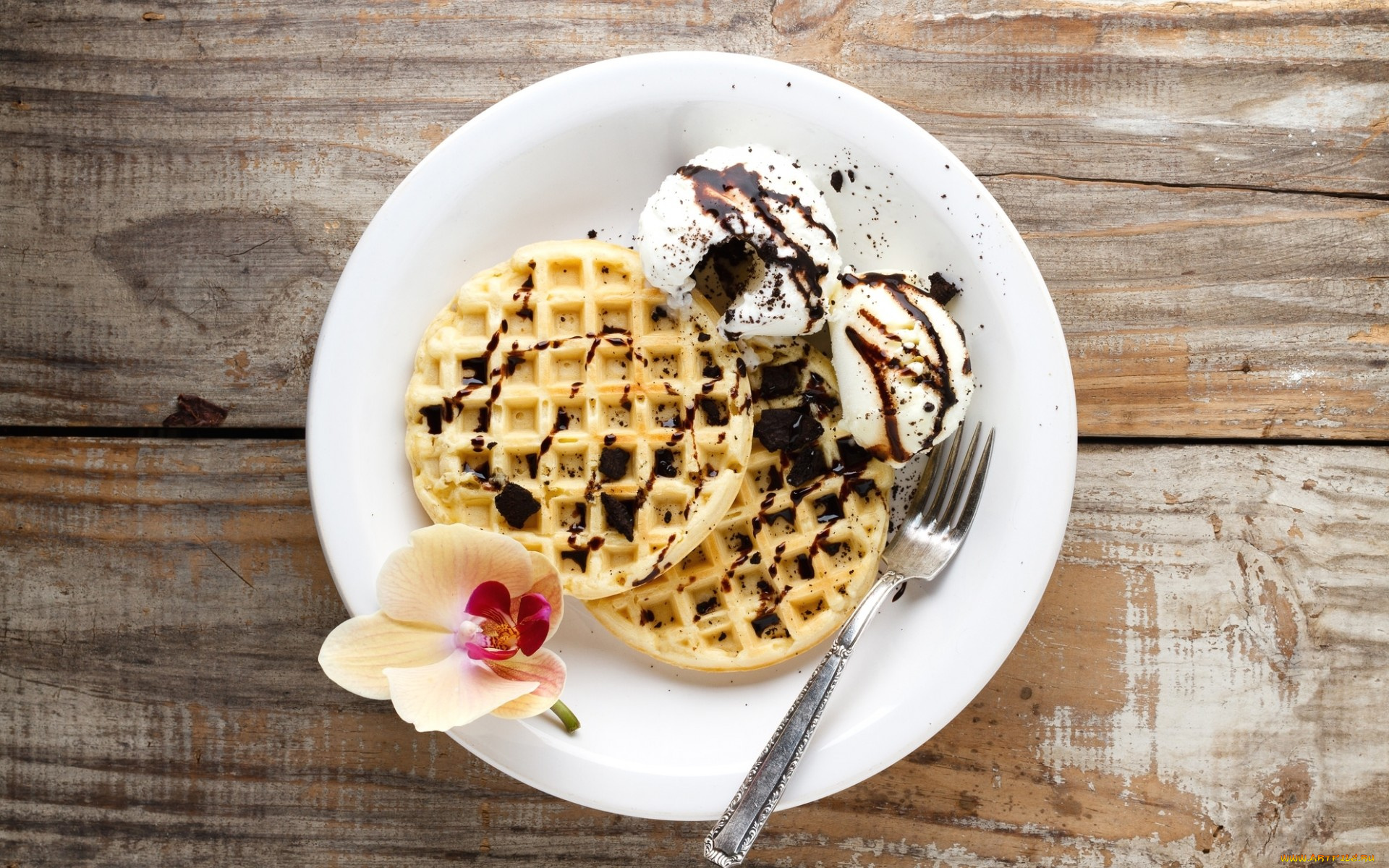 еда, мороженое, , десерты, шоколад, вафли, орхидея, десерт