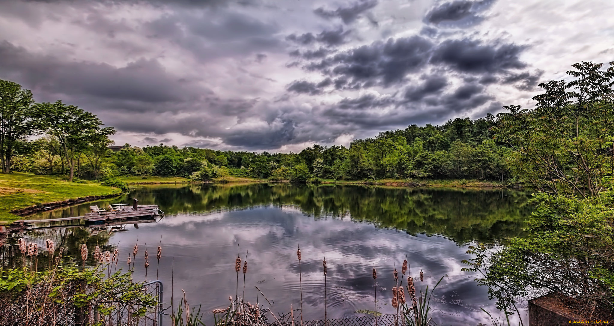 природа, реки, озера, лес, река