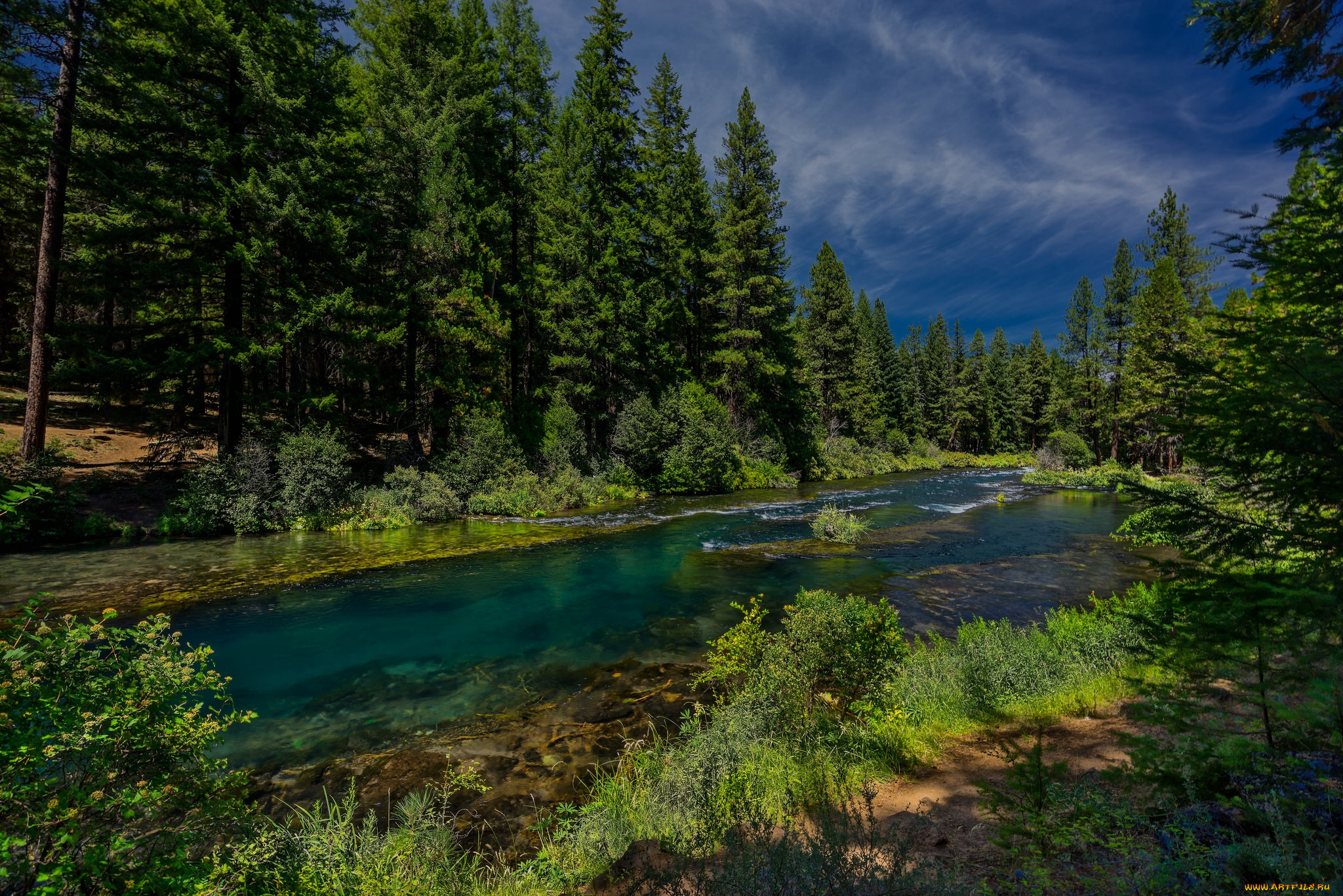 природа, реки, озера, река, лес