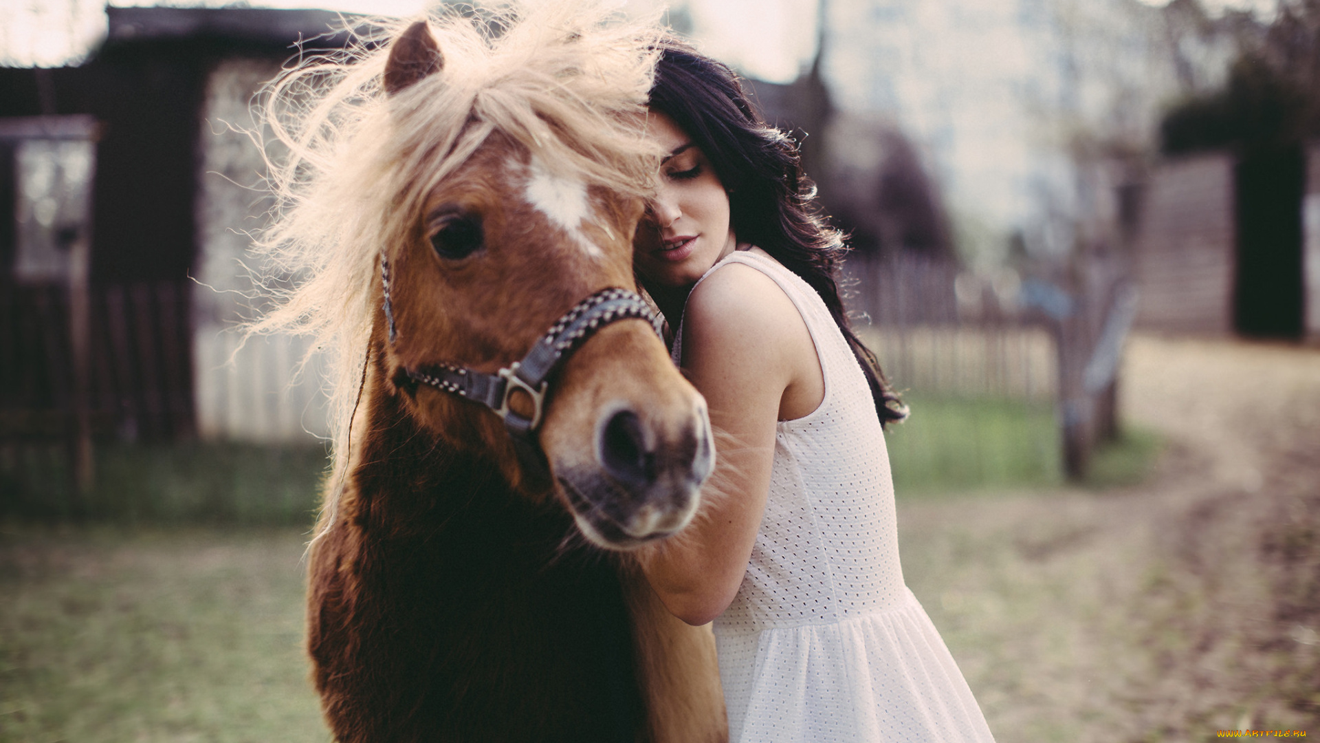 девушки, -unsort, , брюнетки, , шатенки, конь, лошадь, брюнетка, любовь, пони