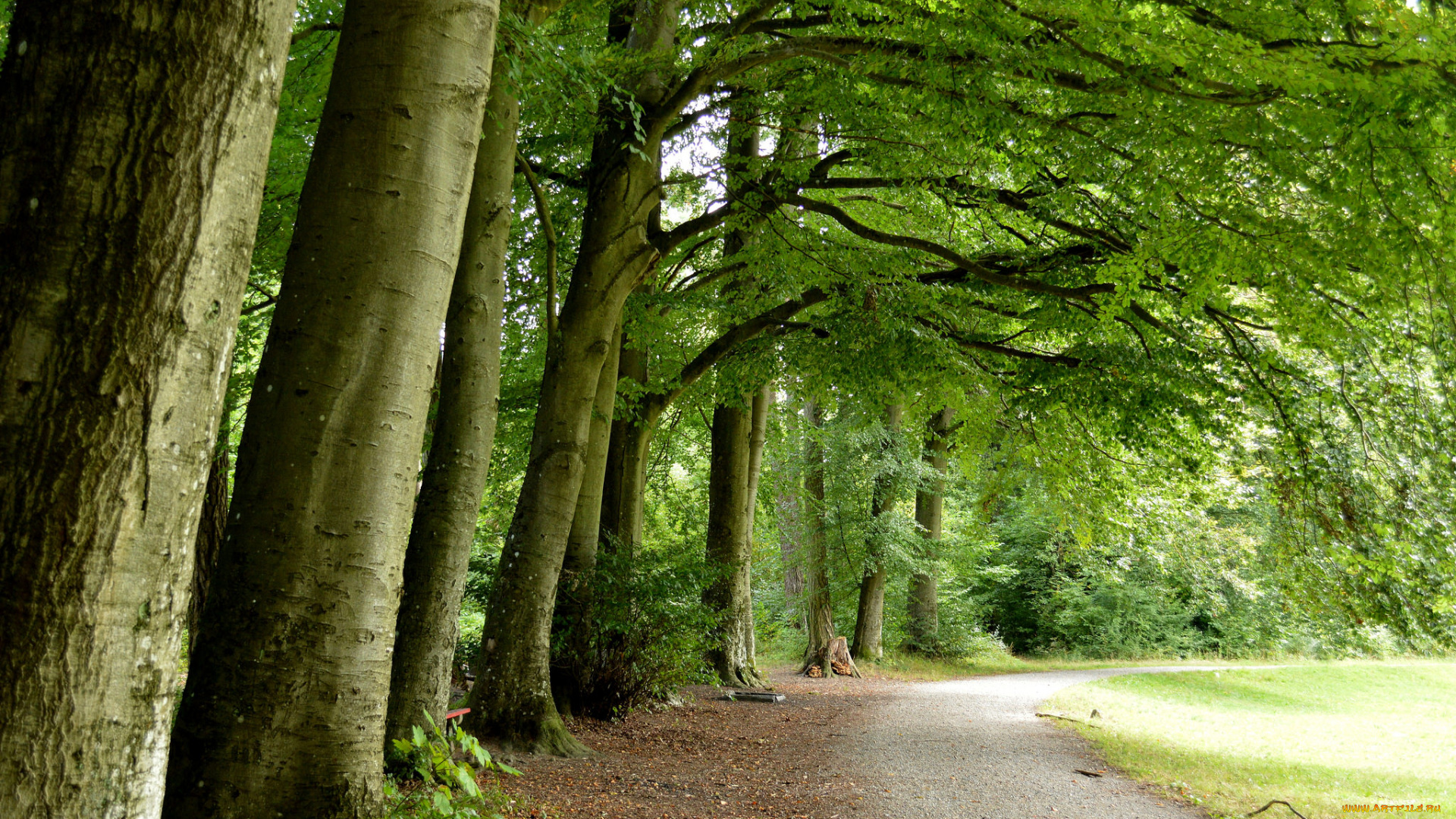 природа, дороги, тракт