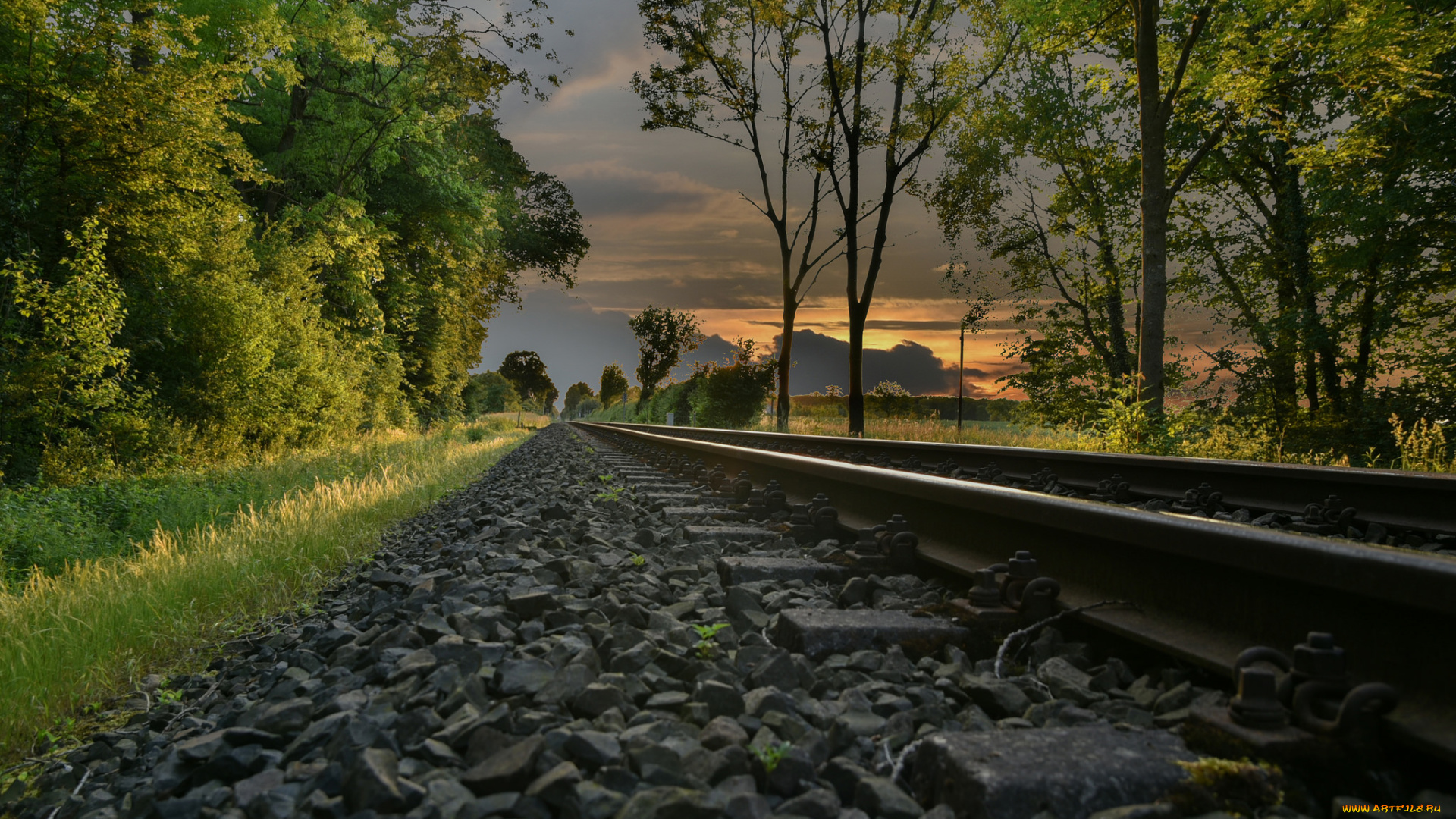 природа, дороги, тракт