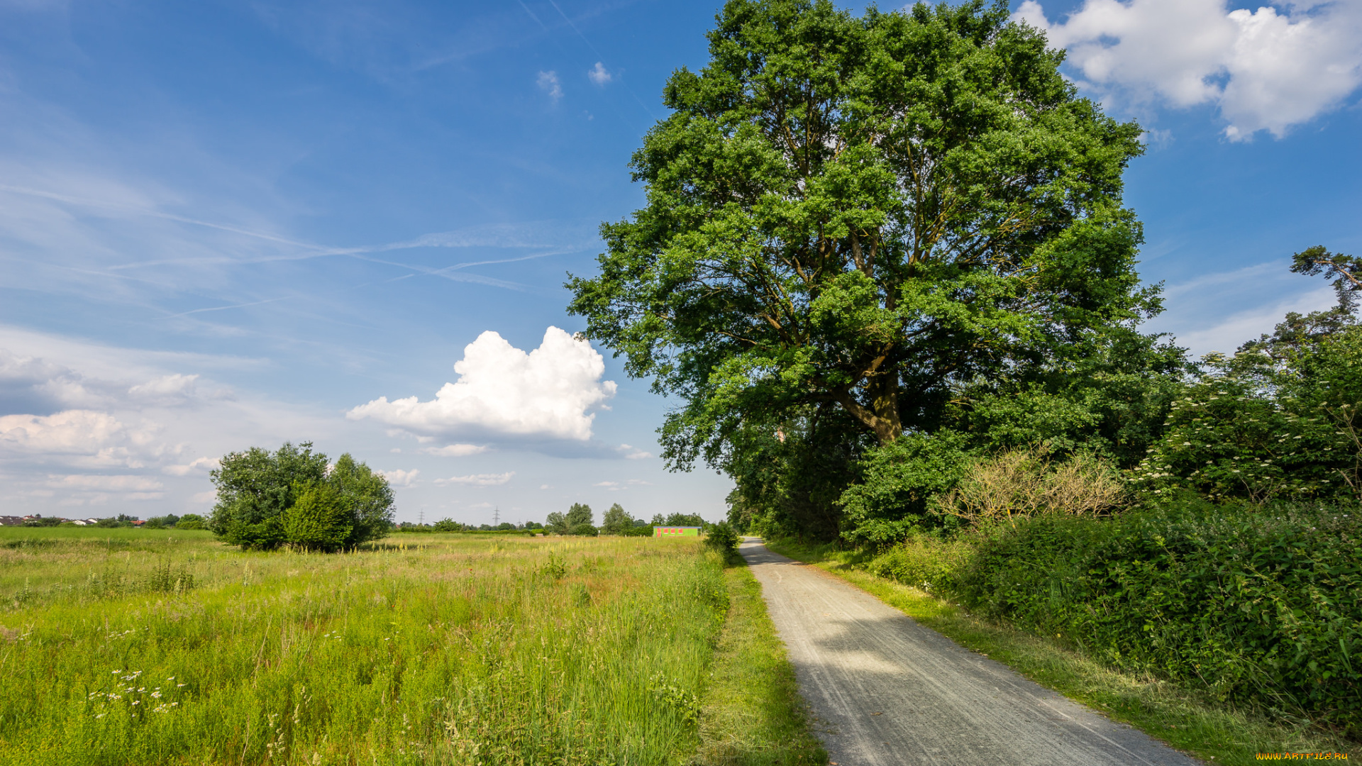 природа, дороги, тракт