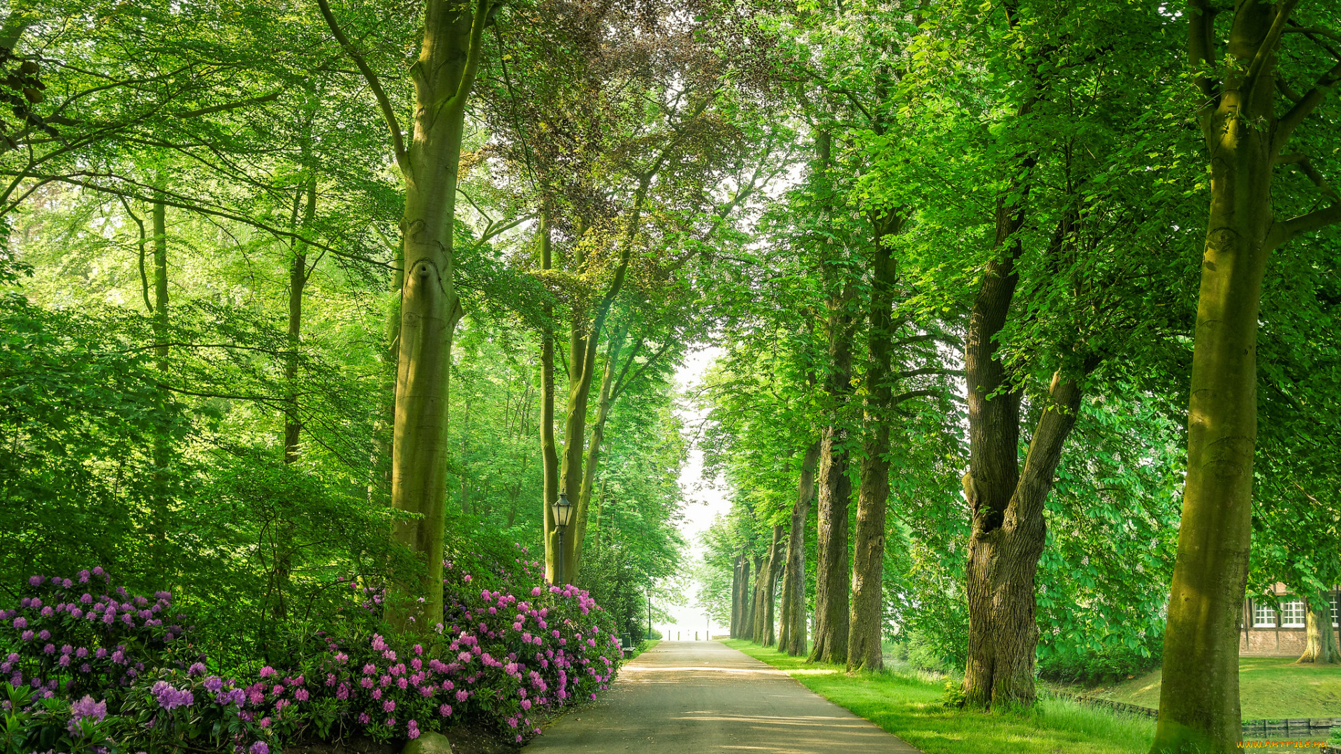 природа, дороги, тракт