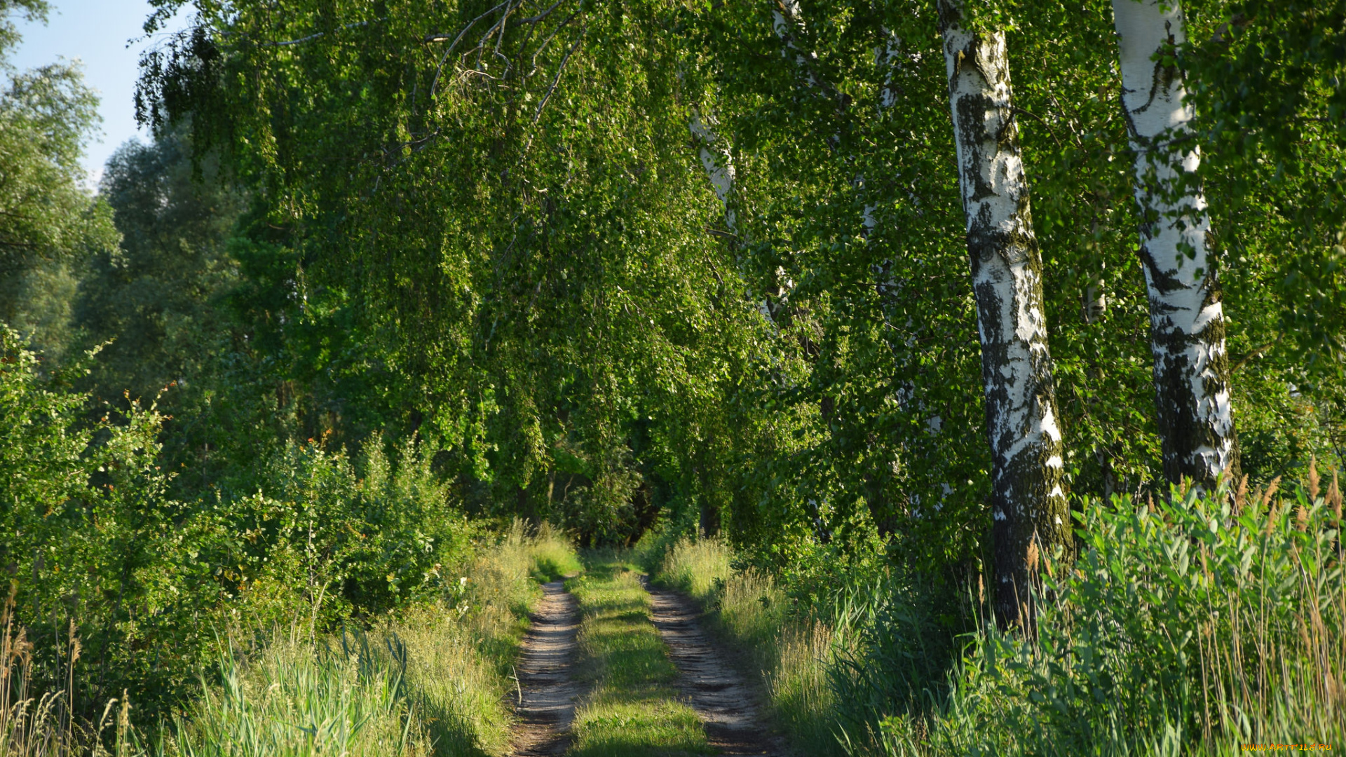 природа, дороги, тракт