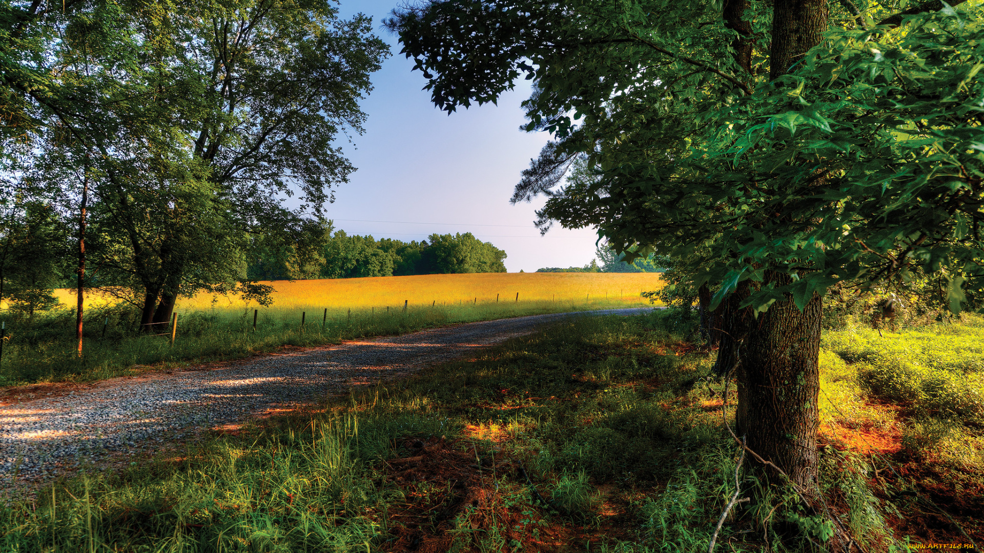природа, дороги, тракт
